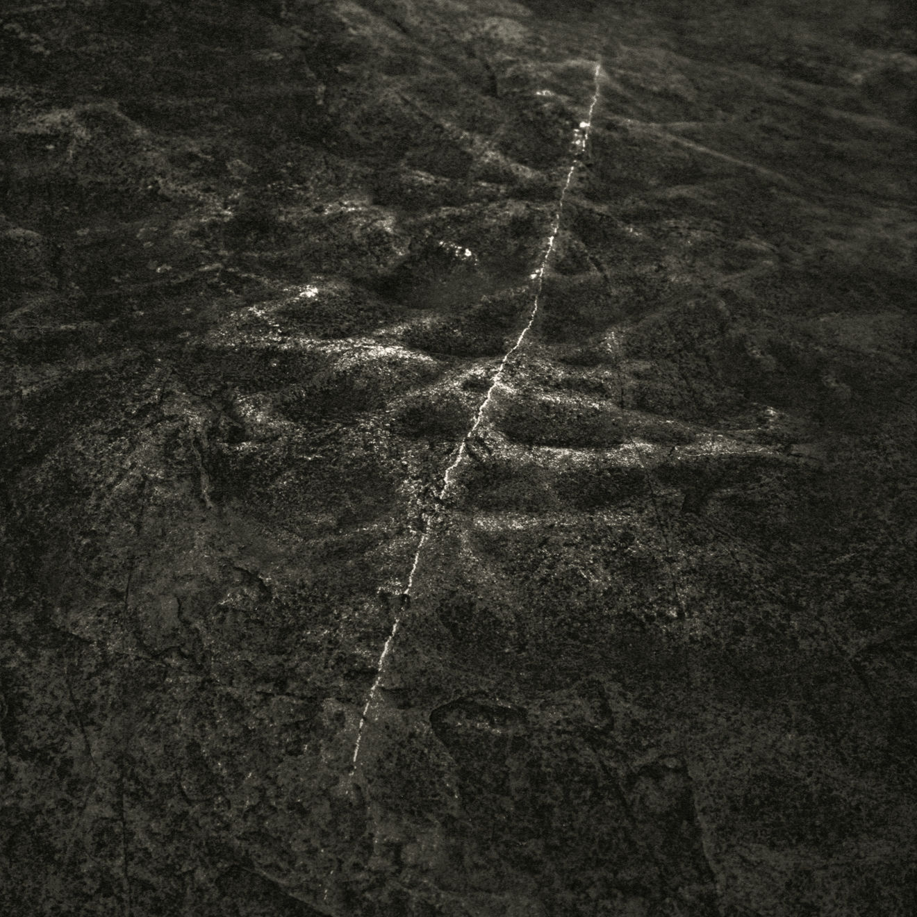 Keith Taylor, #001 from the series 'Otherworld', 2019