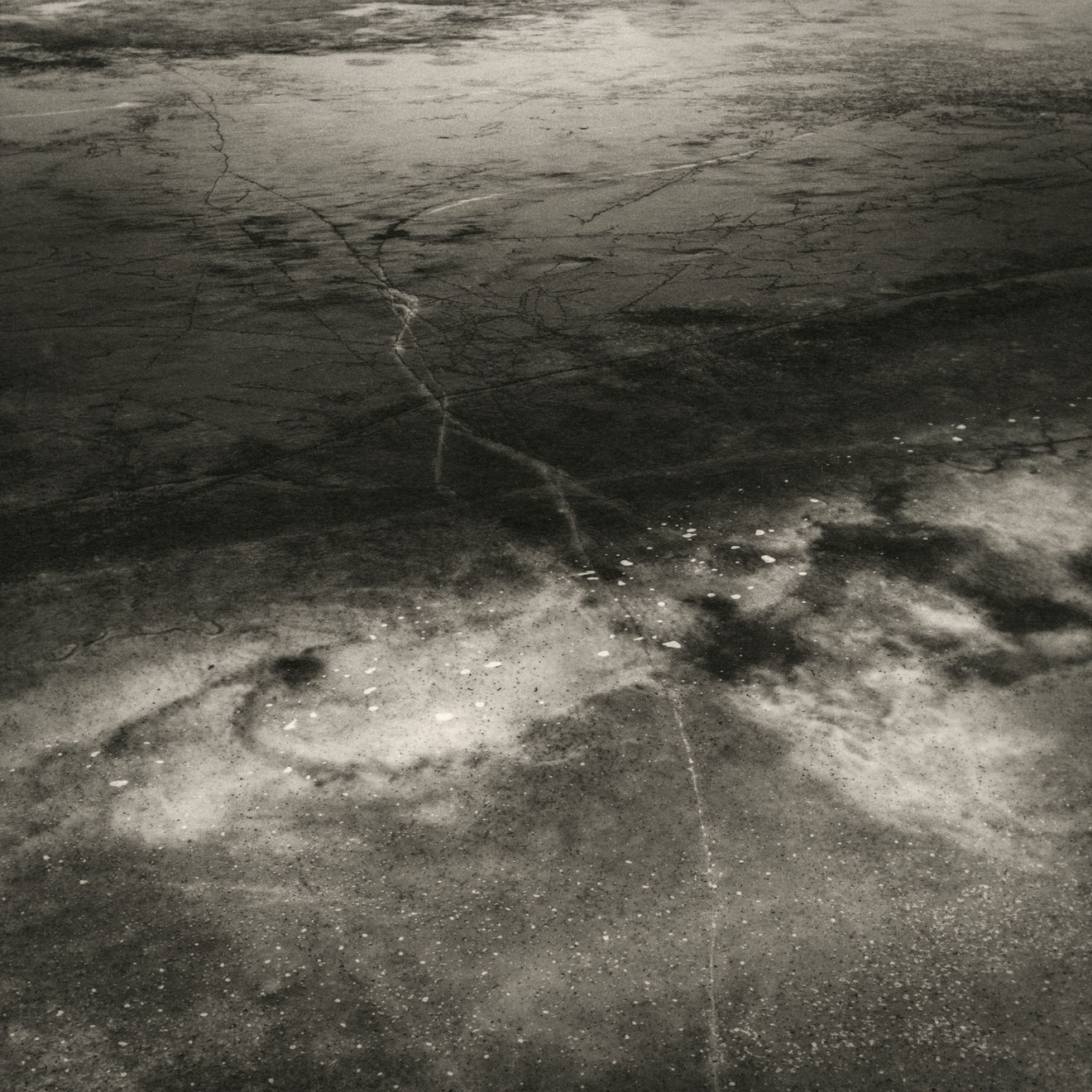 Keith Taylor, #001 from the series 'Otherworld', 2019