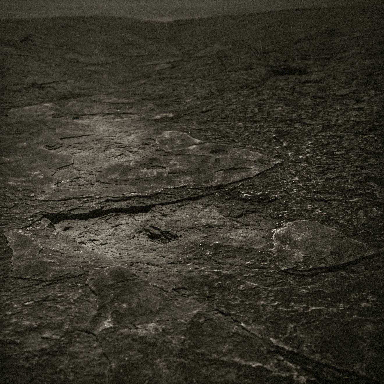 Keith Taylor, #001 from the series 'Otherworld', 2019