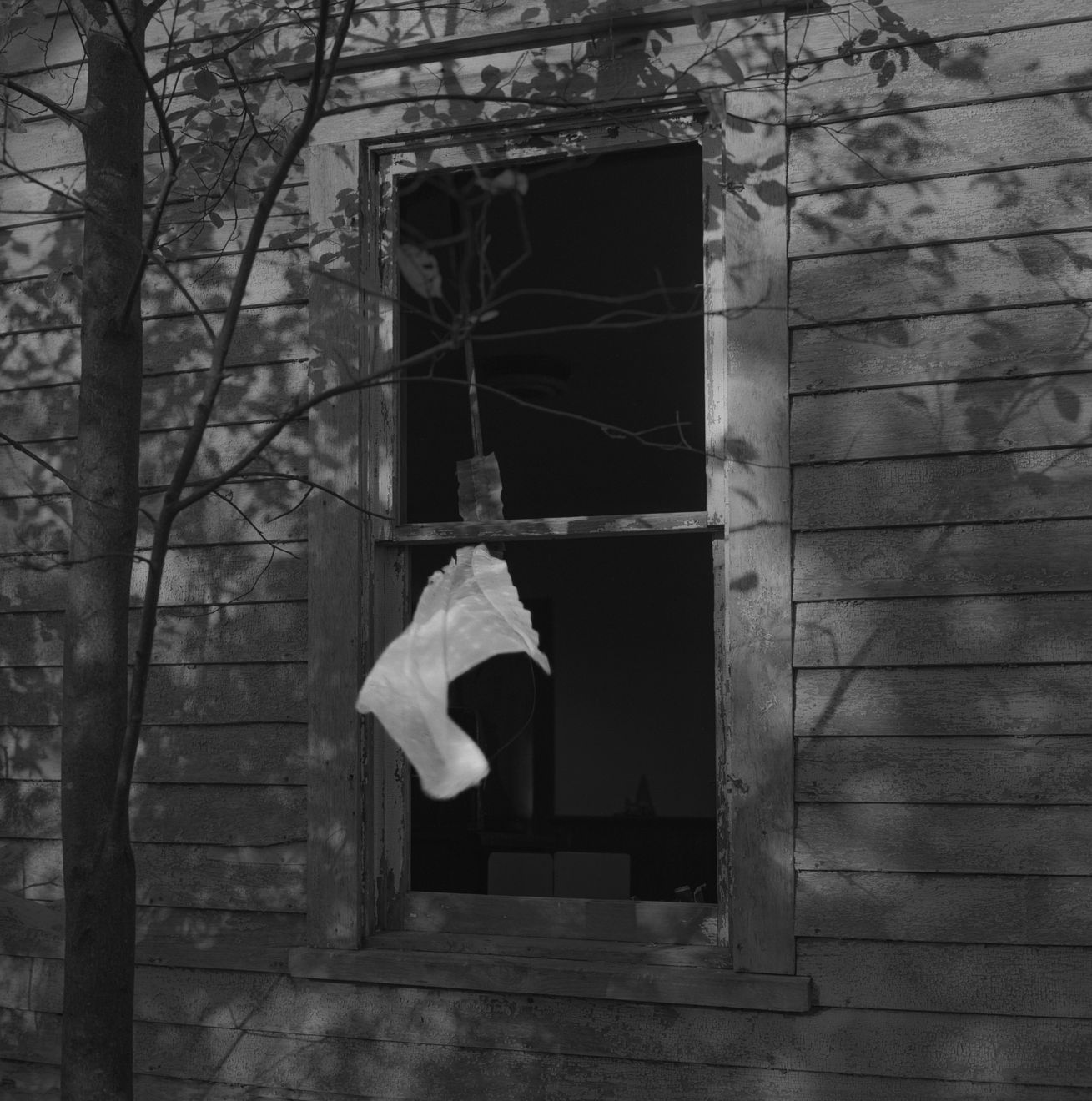 Keith Taylor, Birdhouse from the series 'The Farmstead', 2008