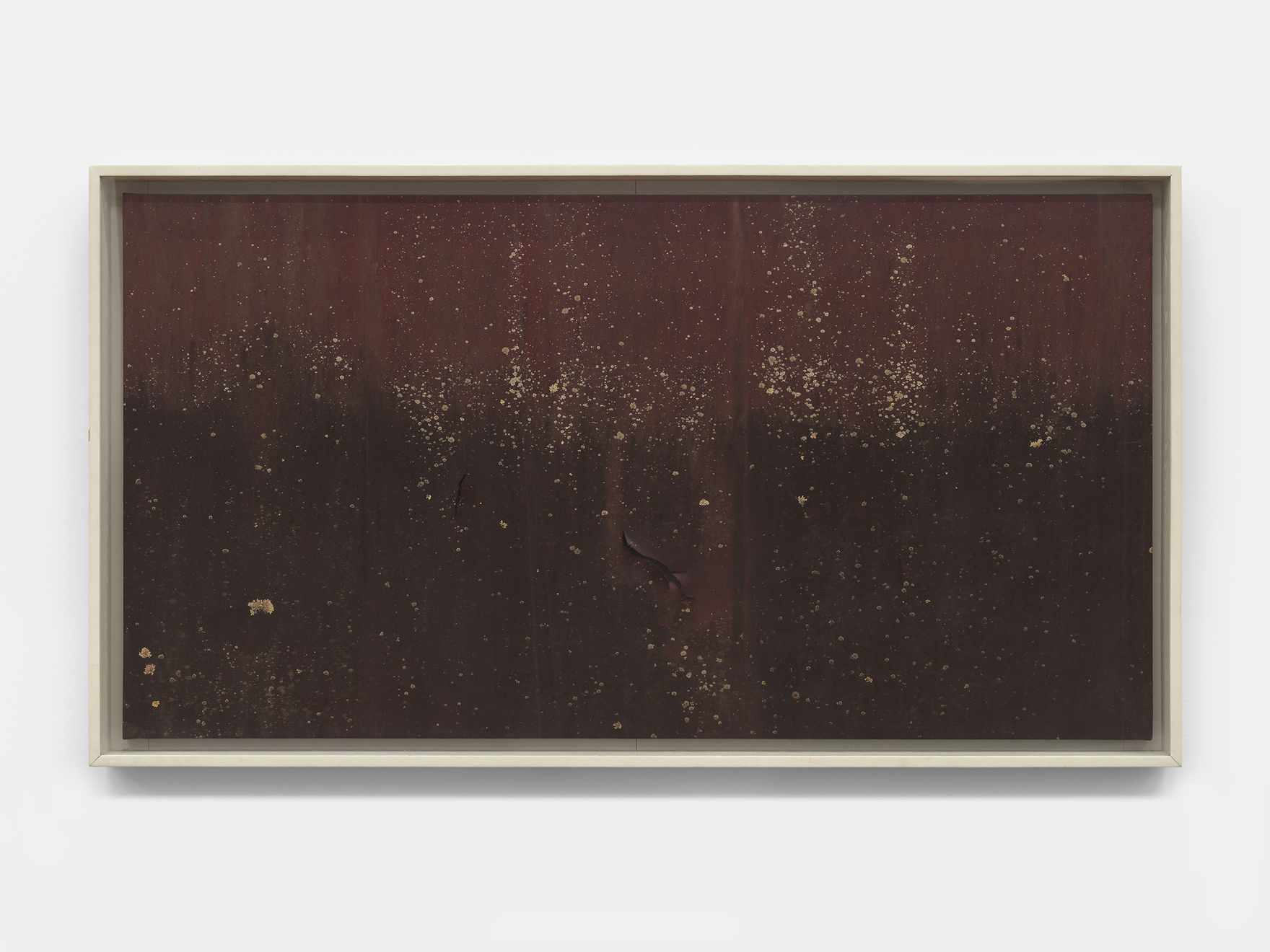 Nick Hoecker, Senior, 2019