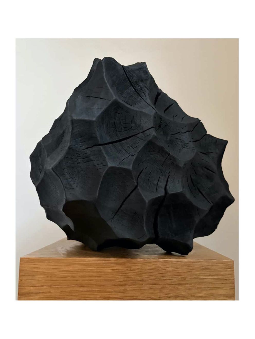 Lawrence Dicks, Limb II, 2026