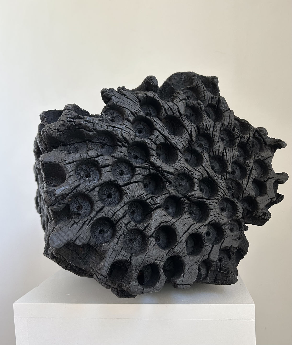 Lawrence Dicks, Birdham Oak, 2025