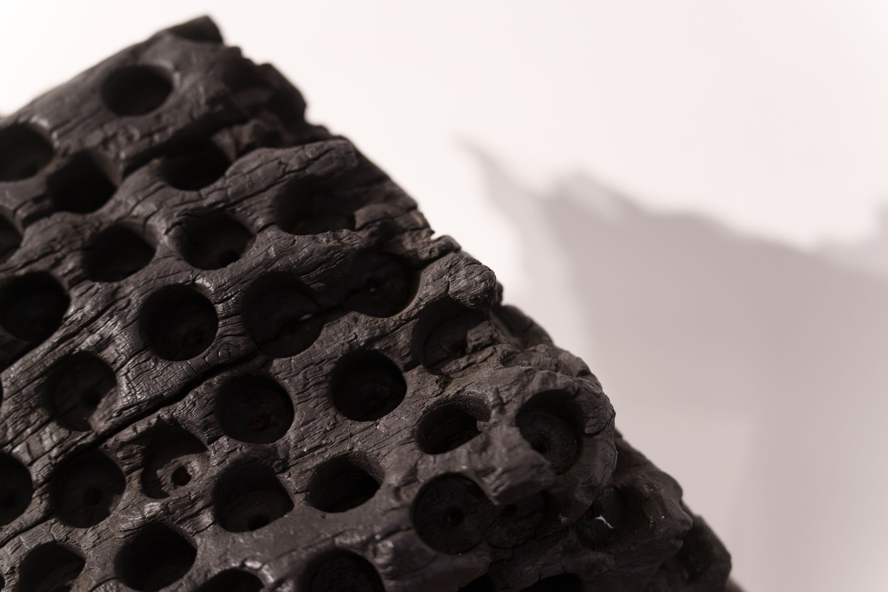 Lawrence Dicks, Birdham Oak, 2025