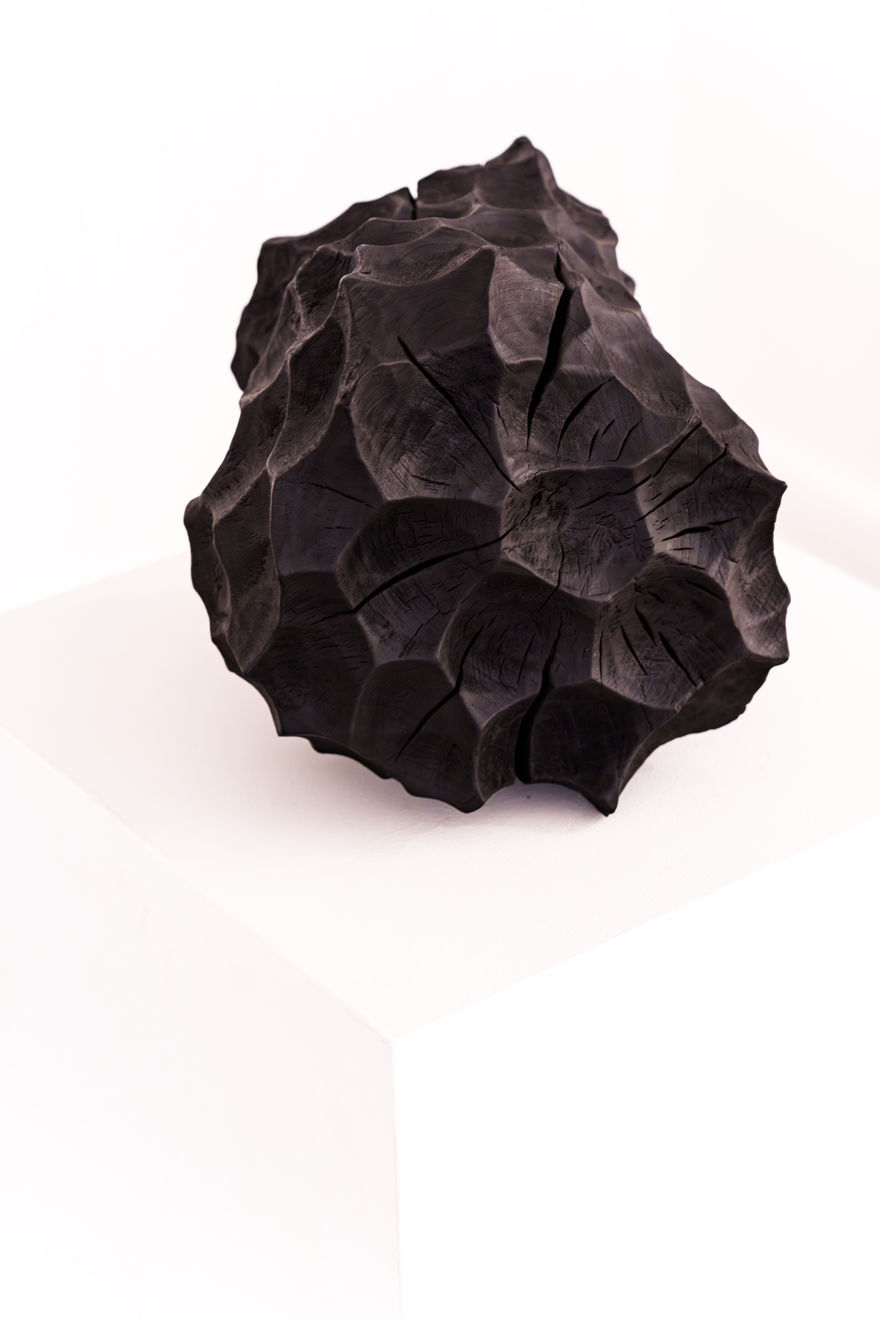 Lawrence Dicks, Limb II, 2026