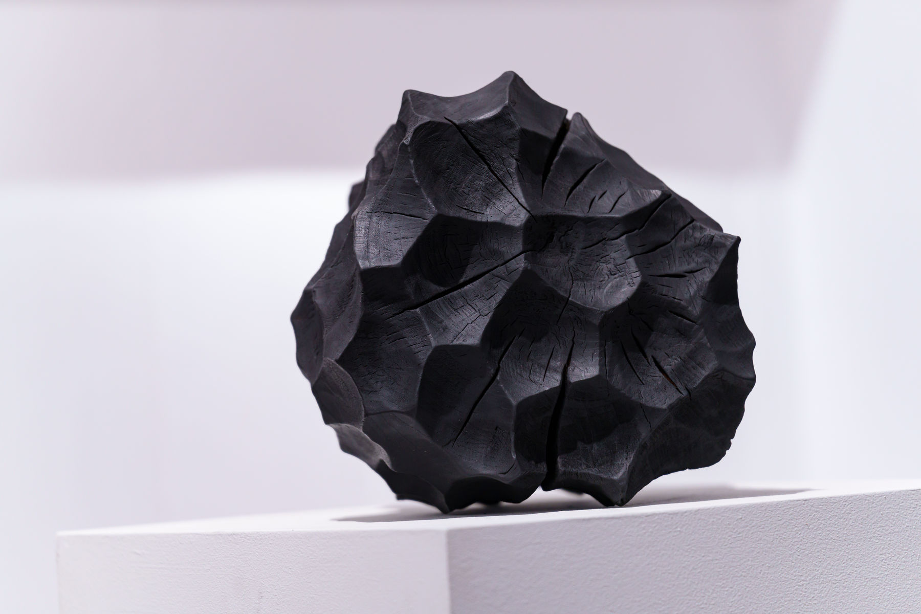 Lawrence Dicks, Limb II, 2026