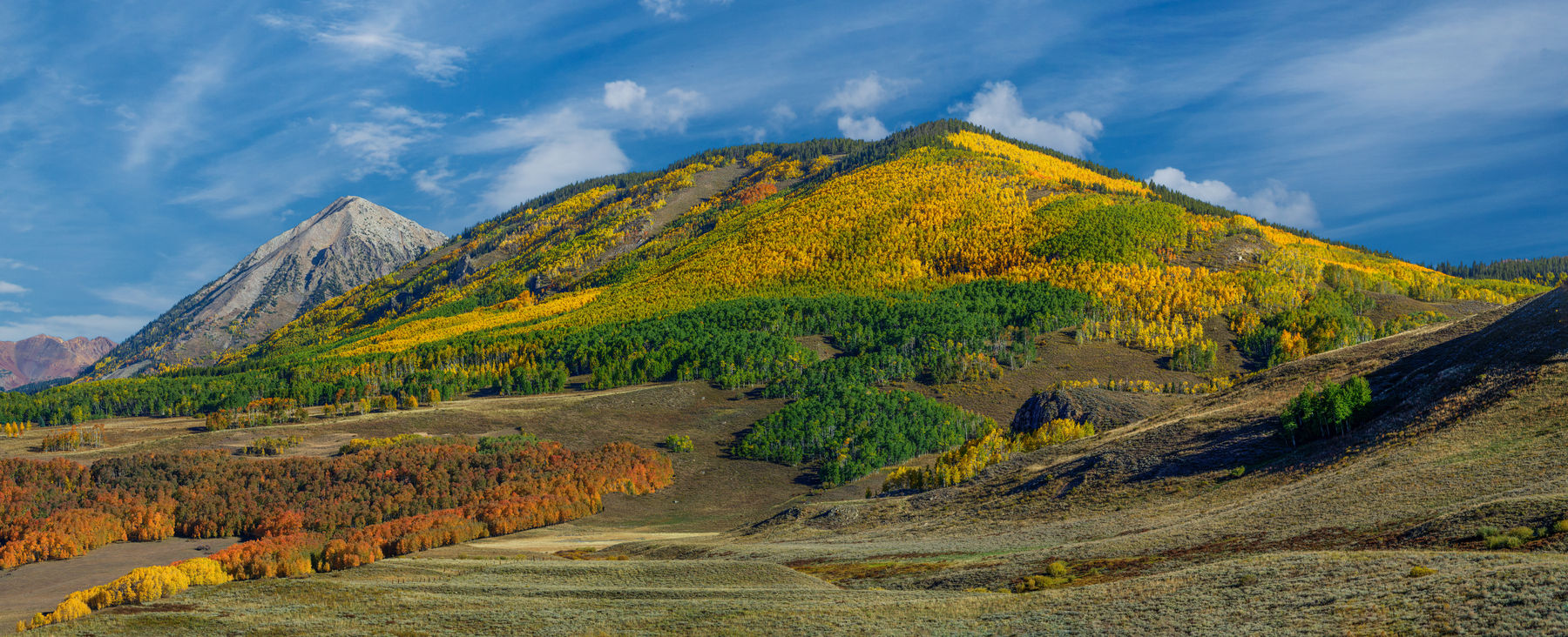 CRESTED-BUTTE-COLORS-OF-FOLIAGE