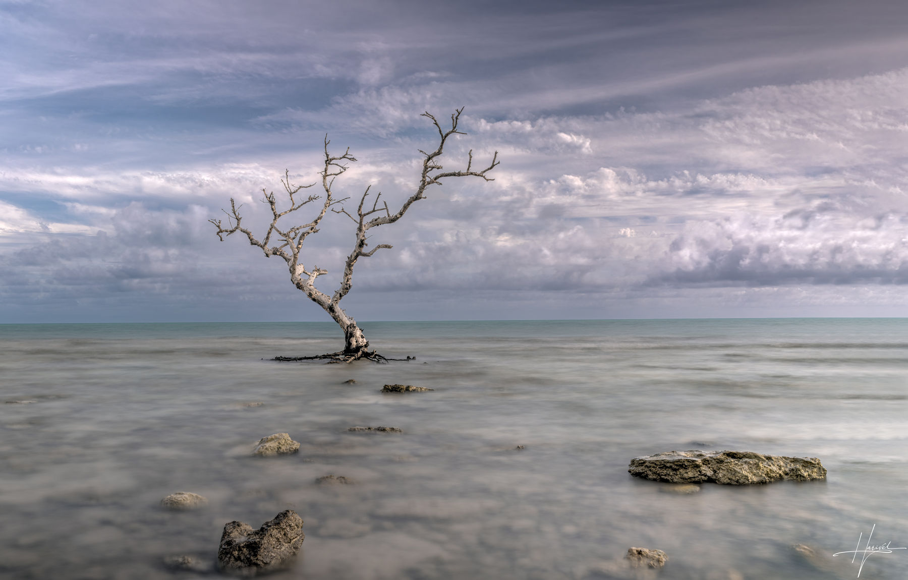 SOLO SURVIVOR PERSPECTIVE II