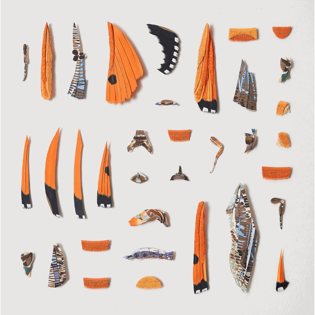 Nibha Sikander, Deconstructed Citrus Fruit Piercer (female), 2022