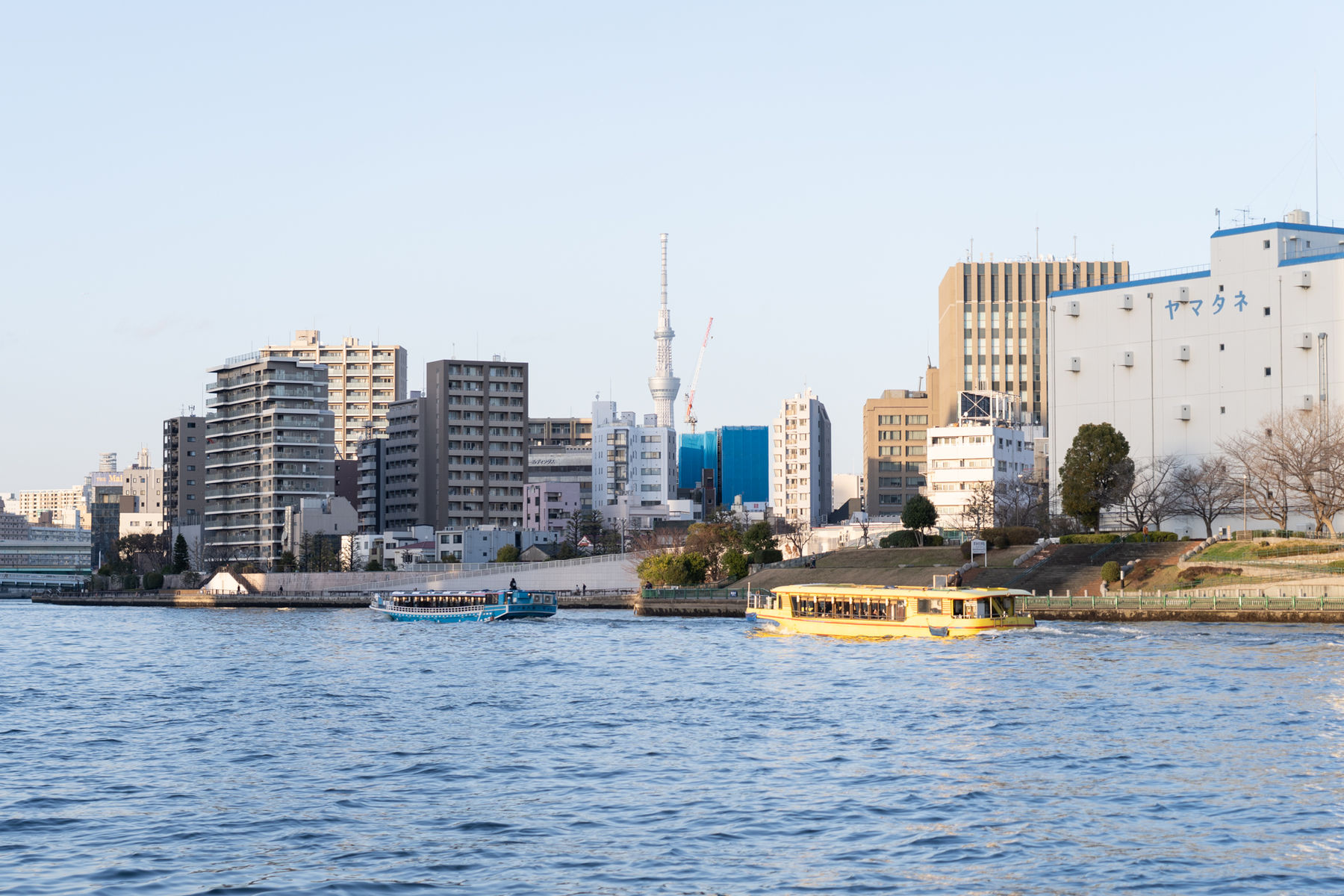 Minouk Lim, S.O.S – Run Shin Shin, 2024-2025.