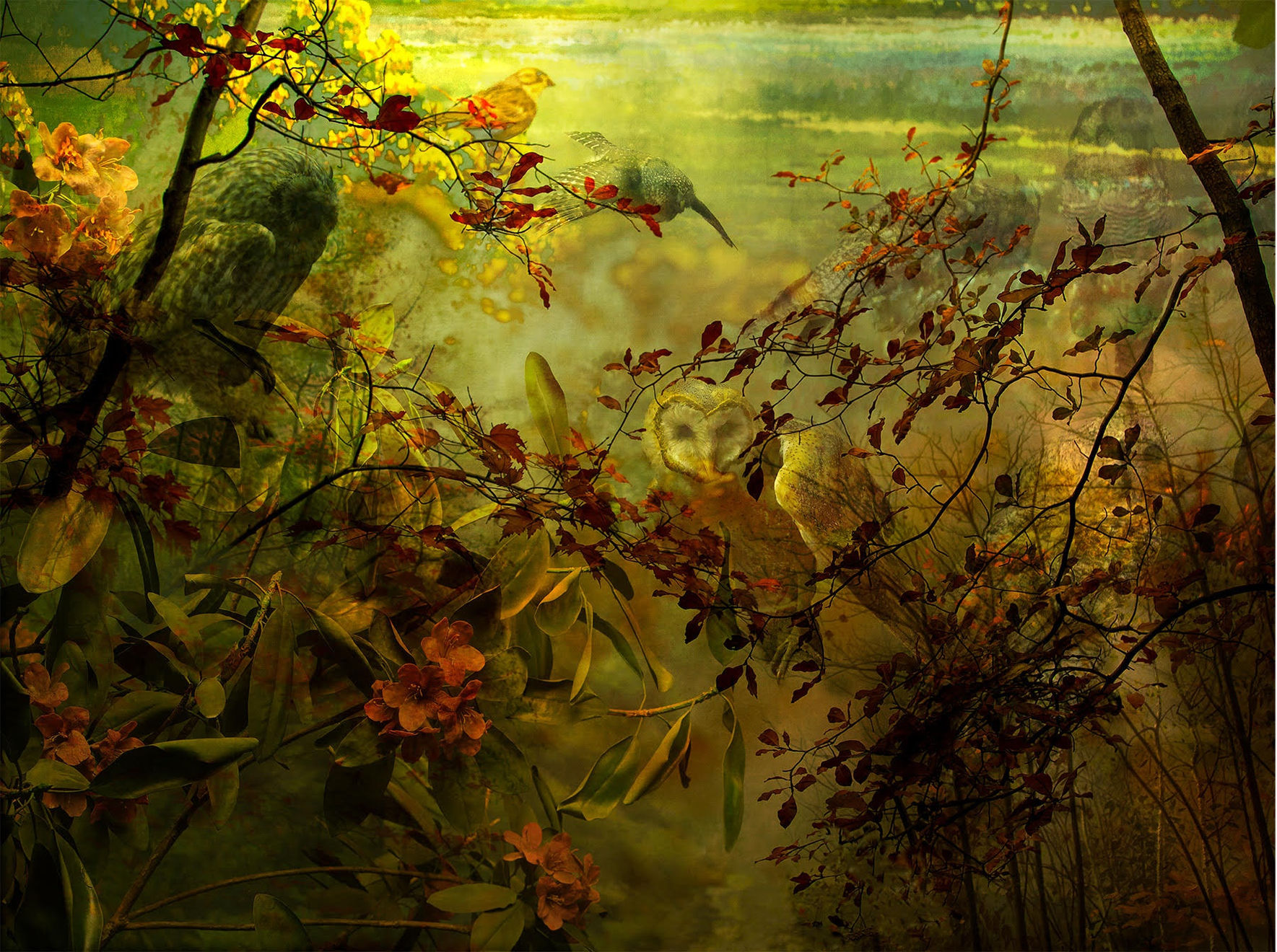 Tasha Ostrander, The Owls, 2013