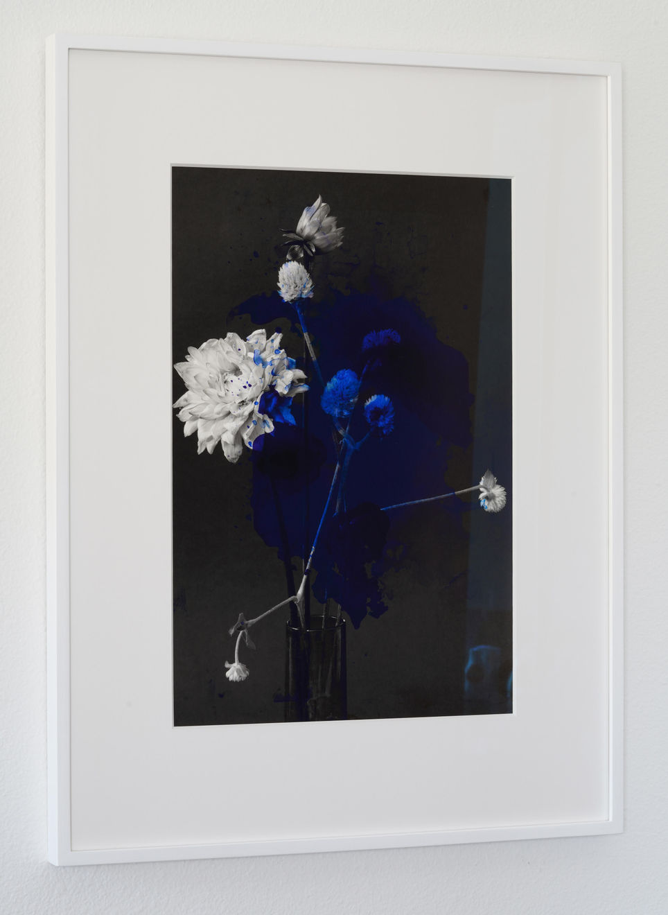 Tasha Ostrander, Night Bluem IV, 2019