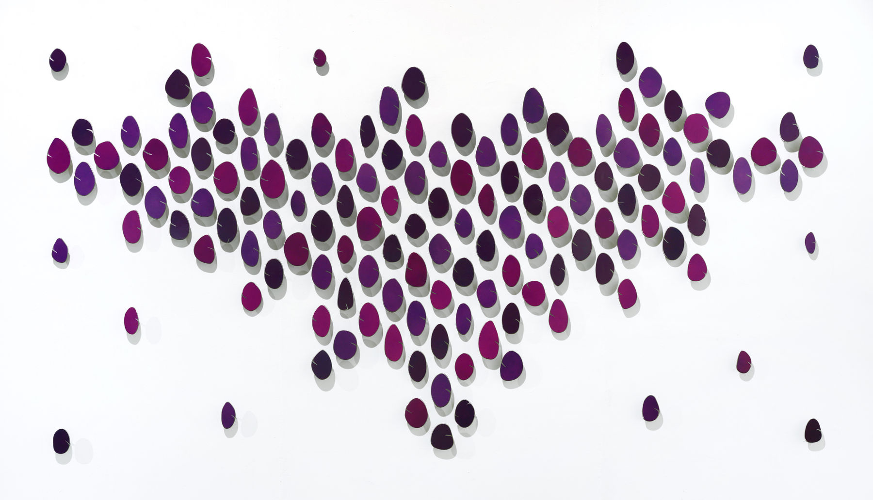 Carolina Sardi, Purple Spell, 2023