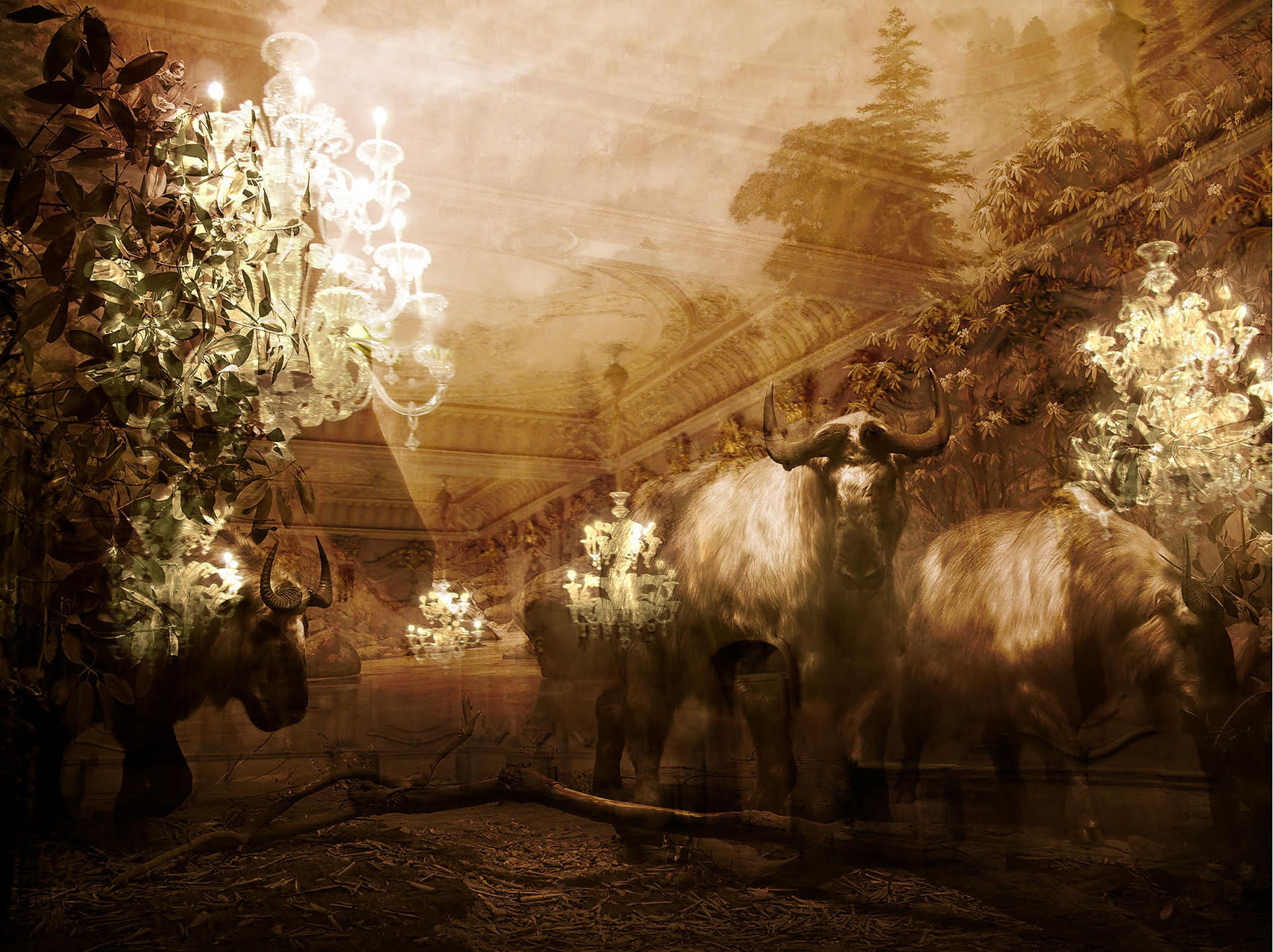 Tasha Ostrander, The Takins II, 2013