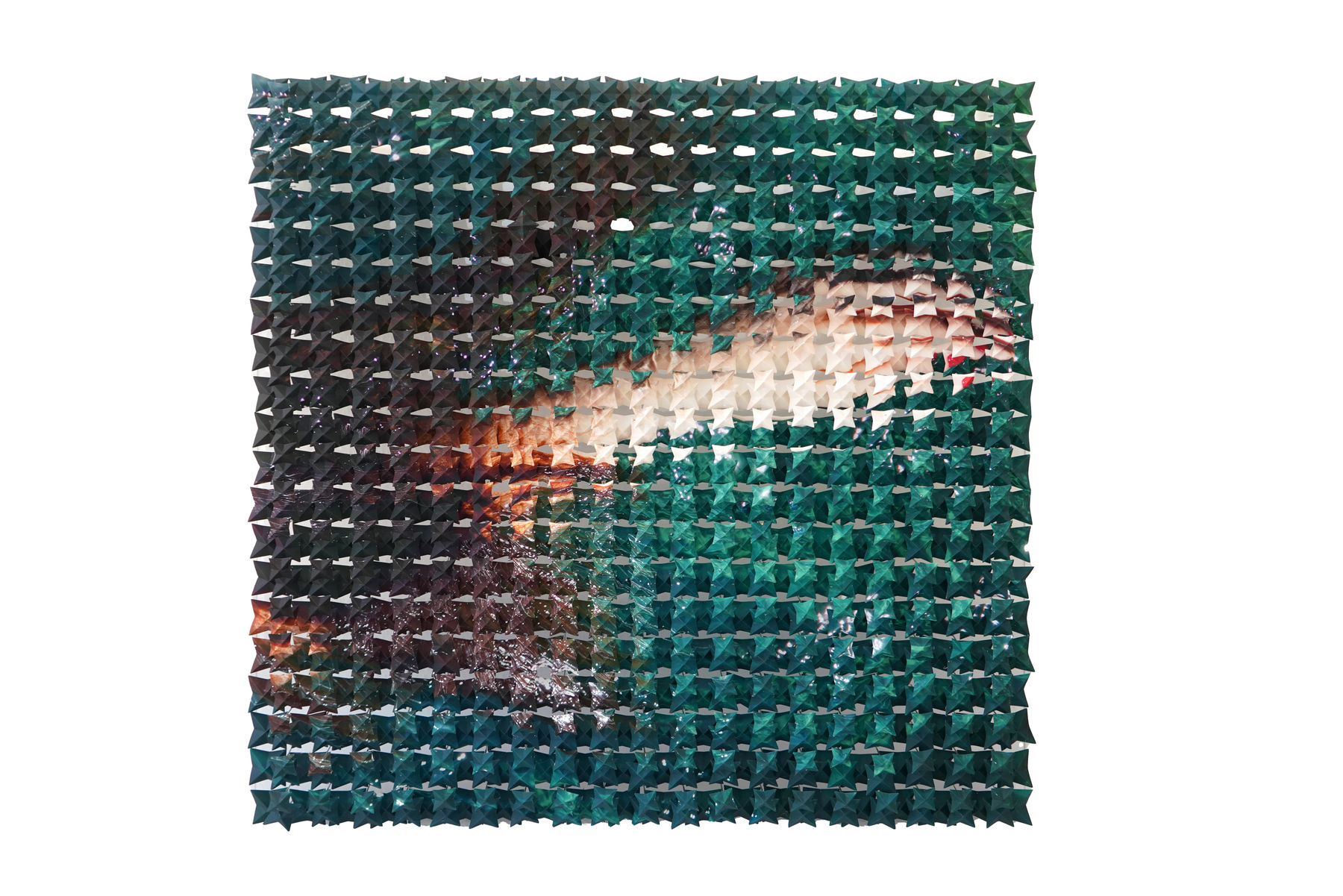 Mabel Poblet, Fluid, 2024