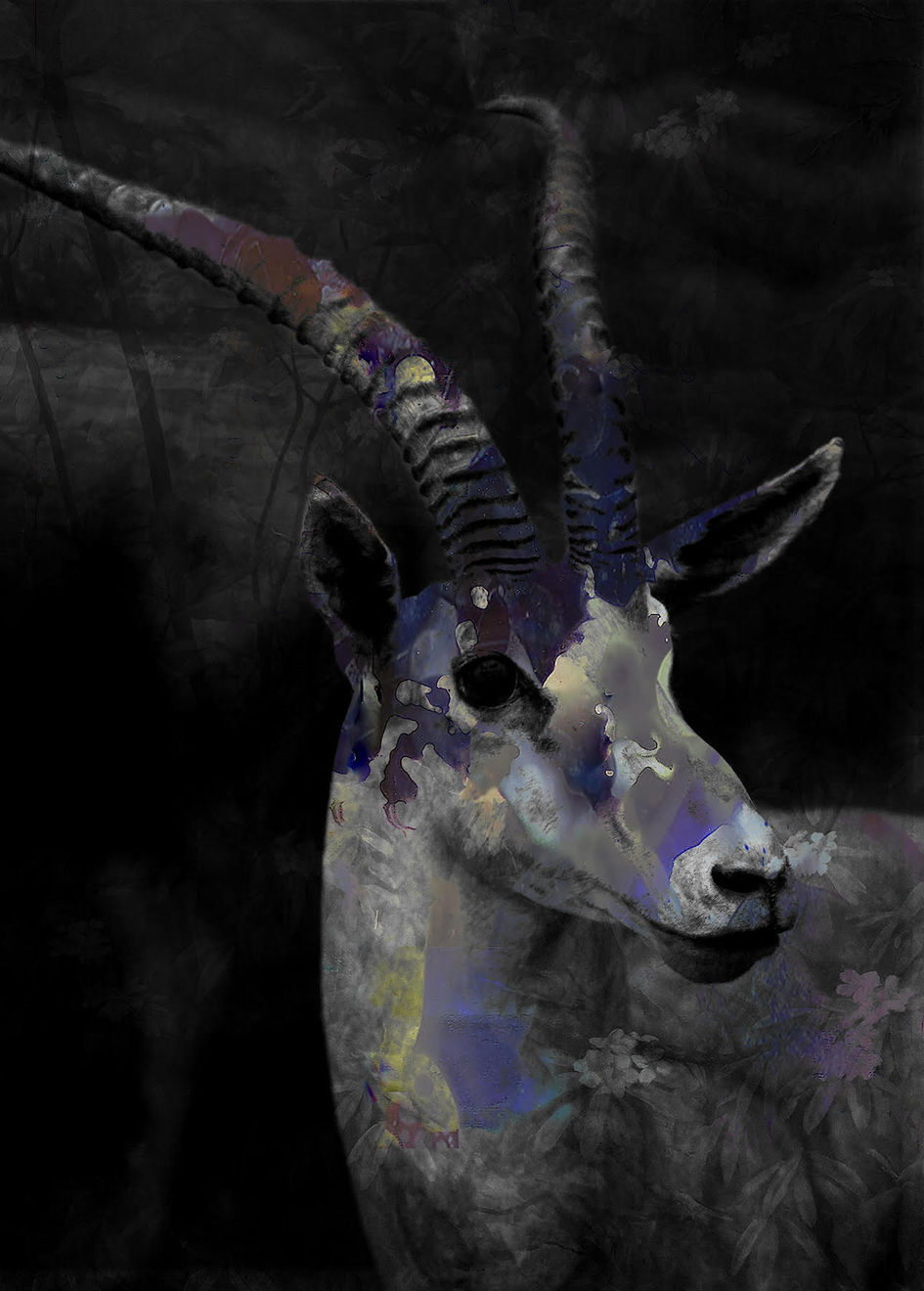 Tasha Ostrander, Chemical Spirit Antelope, 2018