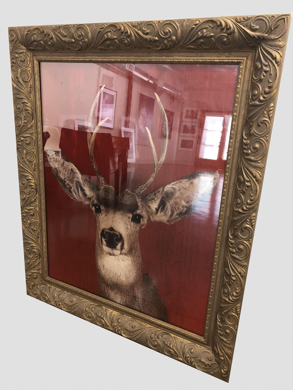 Tasha Ostrander, Deer Portrait, 1998