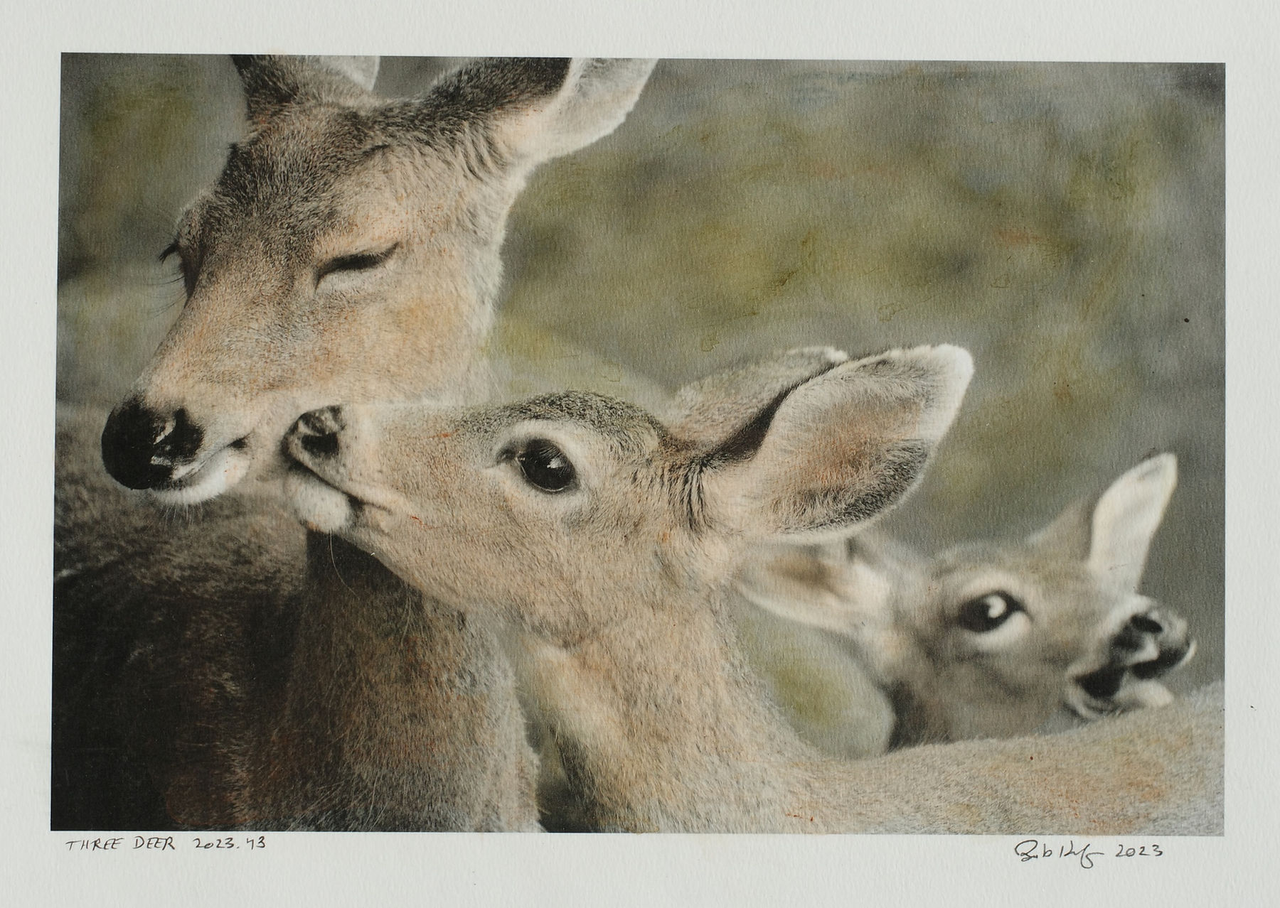 Bob Keefer, Three Deer, 2023