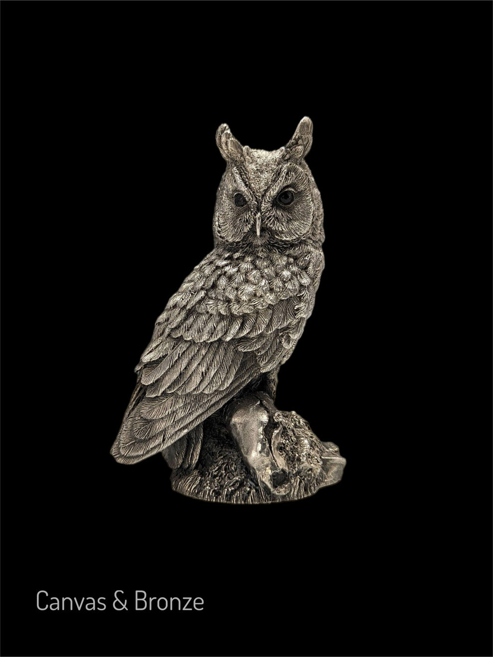 Jane Emerging, The Wise Silver Long Ears Owl - England, 1991