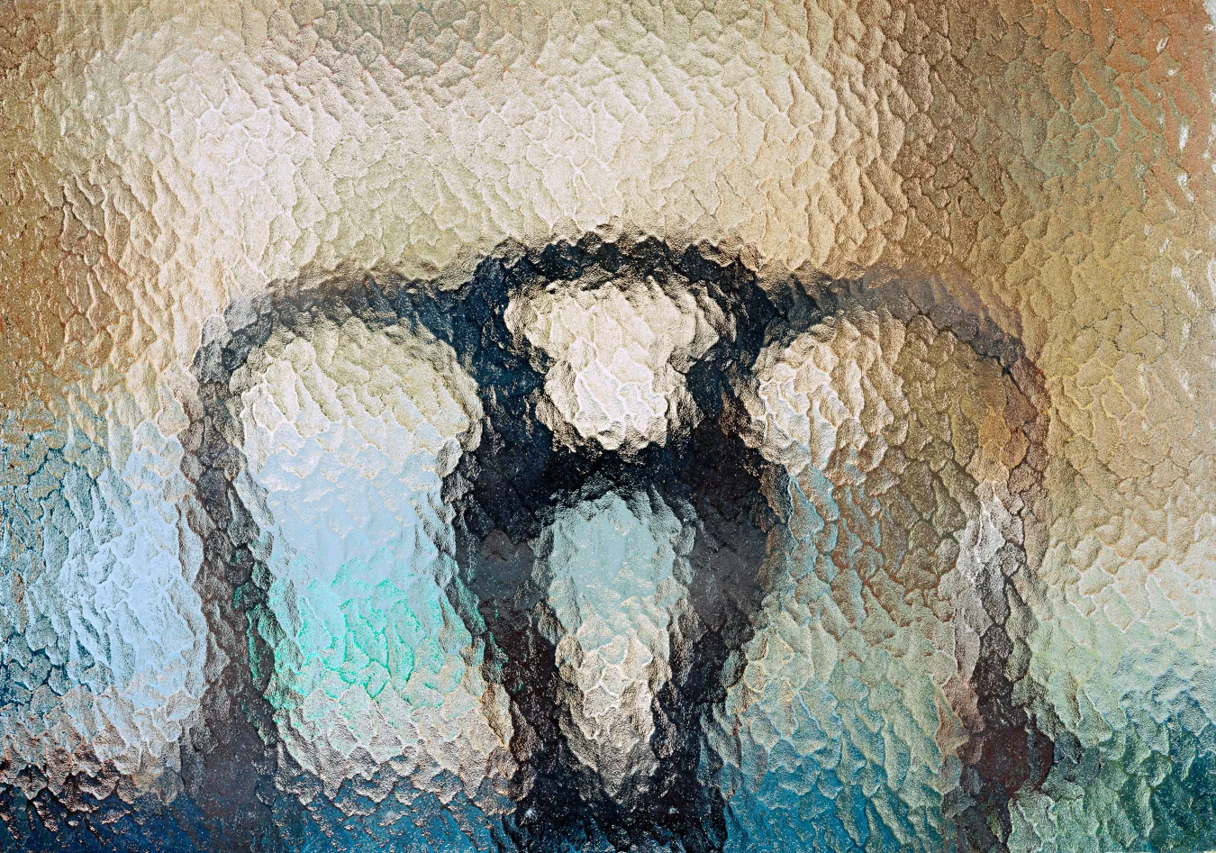 Alessandro Vicario, Trasparenza (Transparency) 01, 2003