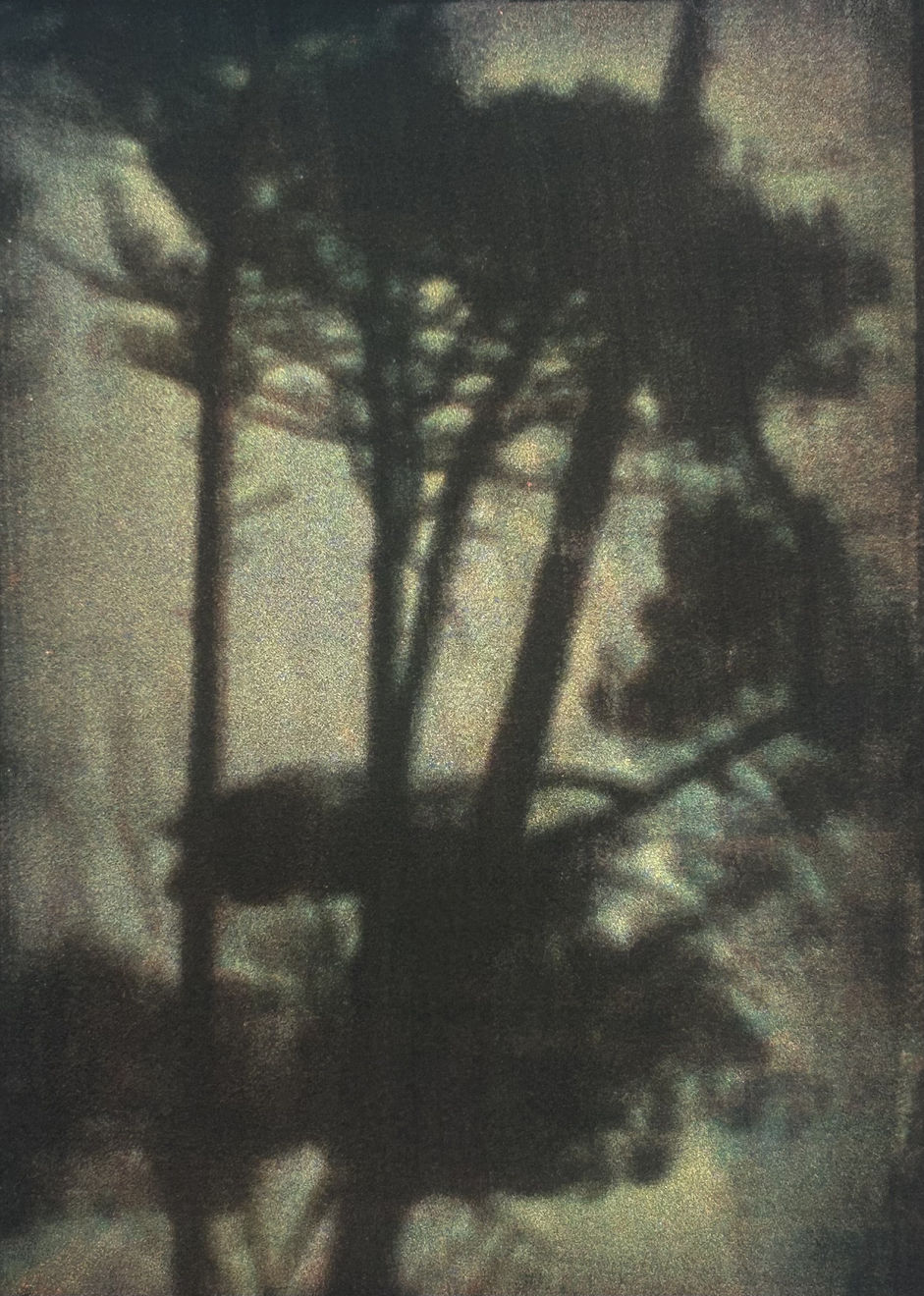 Alexandre Dupeyron, Hapax #37, 2024