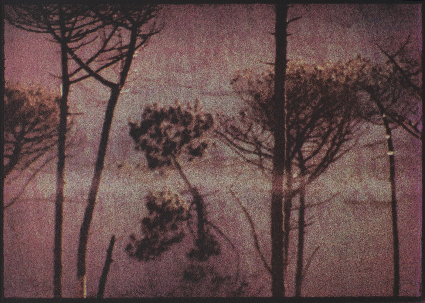 Alexandre Dupeyron, Hapax #75, 2024