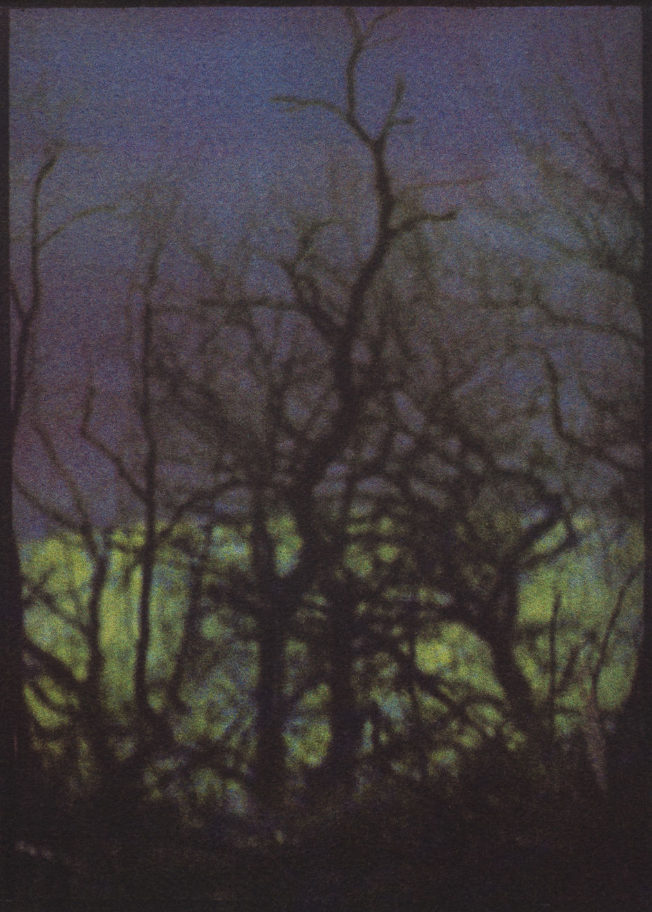 Alexandre Dupeyron, Hapax #45, 2024