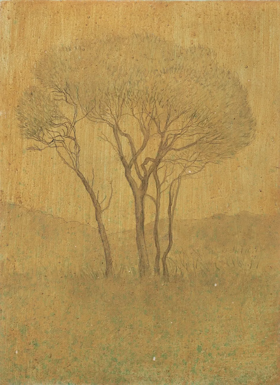 Aroha Gossage, Mānuka II, 2026