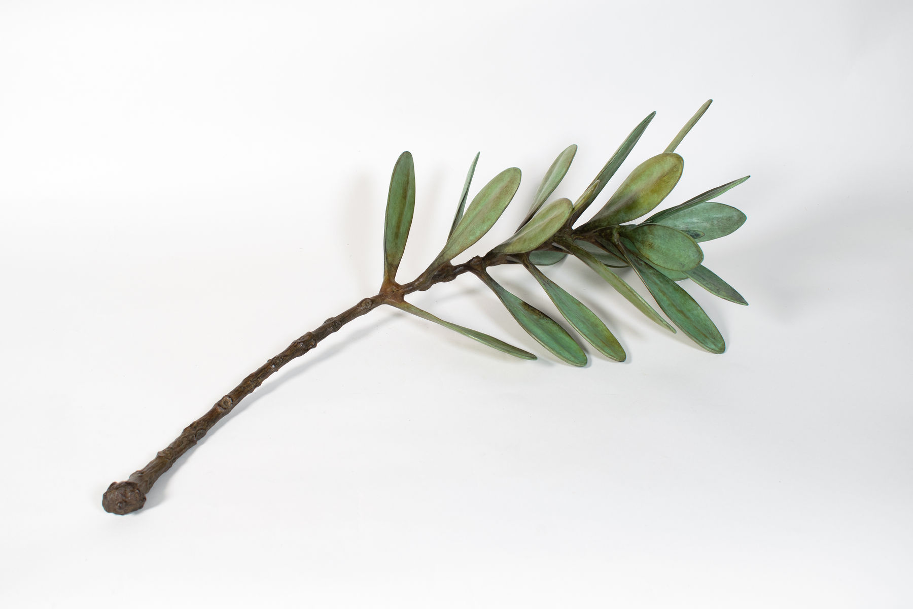 Jim Wheeler, Windfall Kauri, 2025