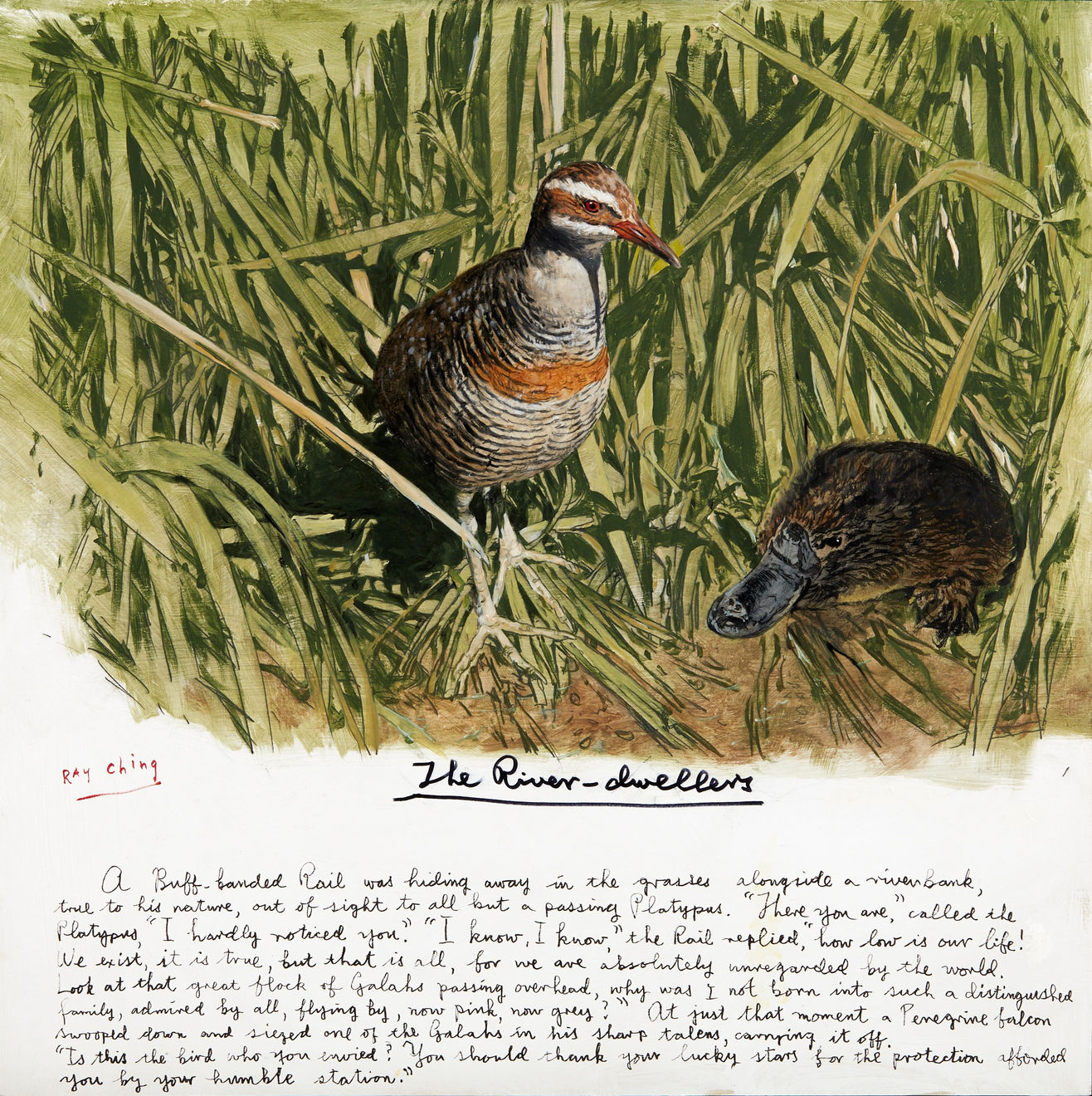 Ray Ching, The River-Dwellers p. 196-197, 2017