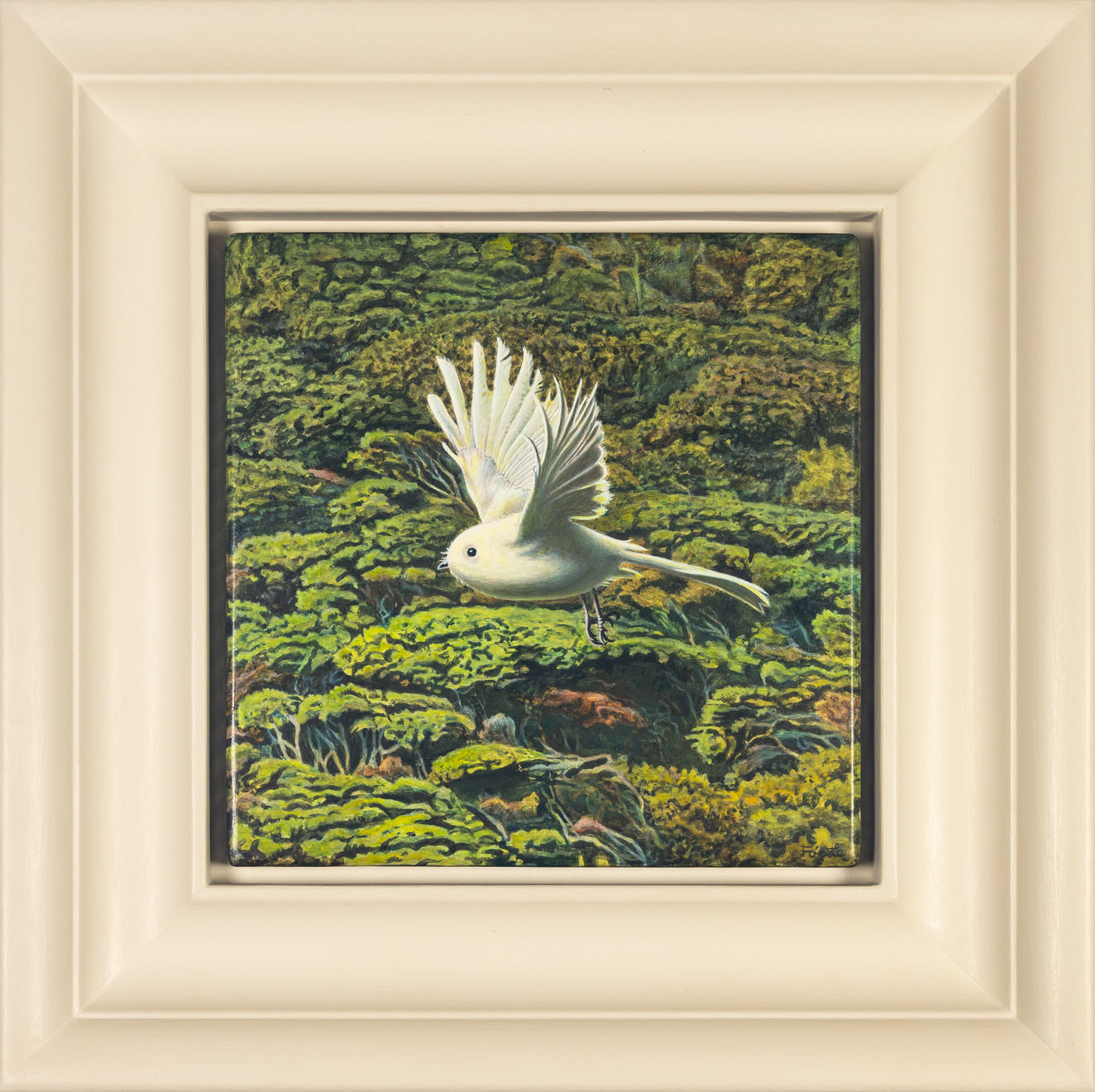 Hamish Foote , Pīwakawaka, 2025