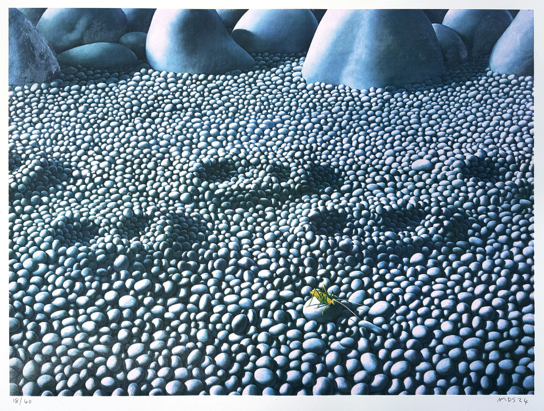 Michael Smither, Grasshopper on Stones, 2024