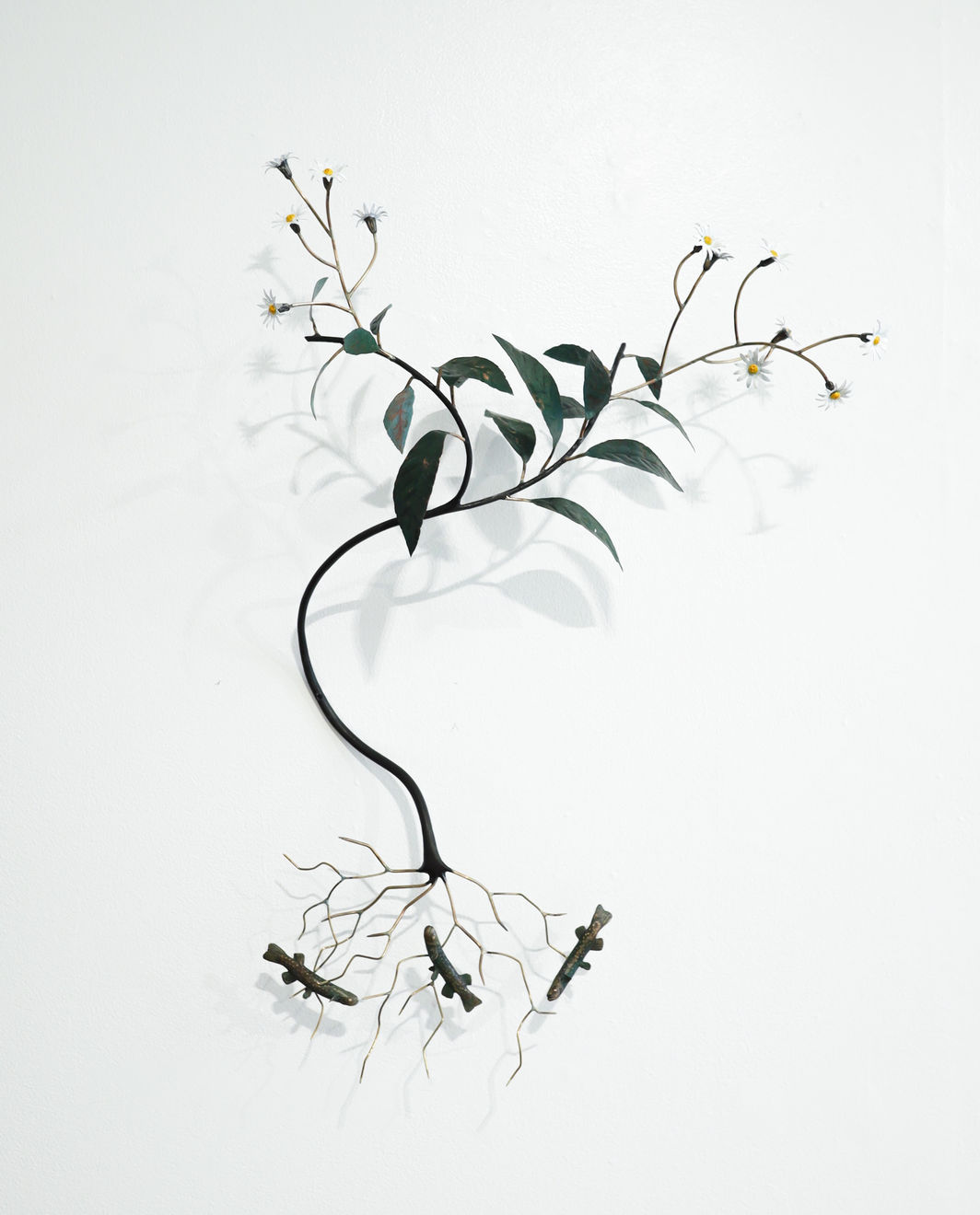 Bing Dawe, A Night Sky under a Night Sky - Galaxiidae with Stream-side Daisy, 2023