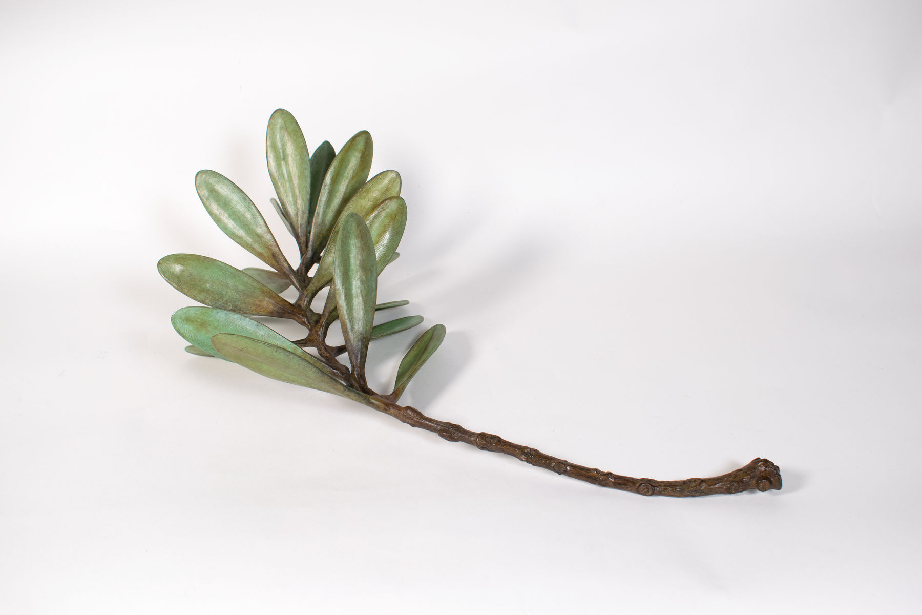 Jim Wheeler, Windfall Kauri, 2025