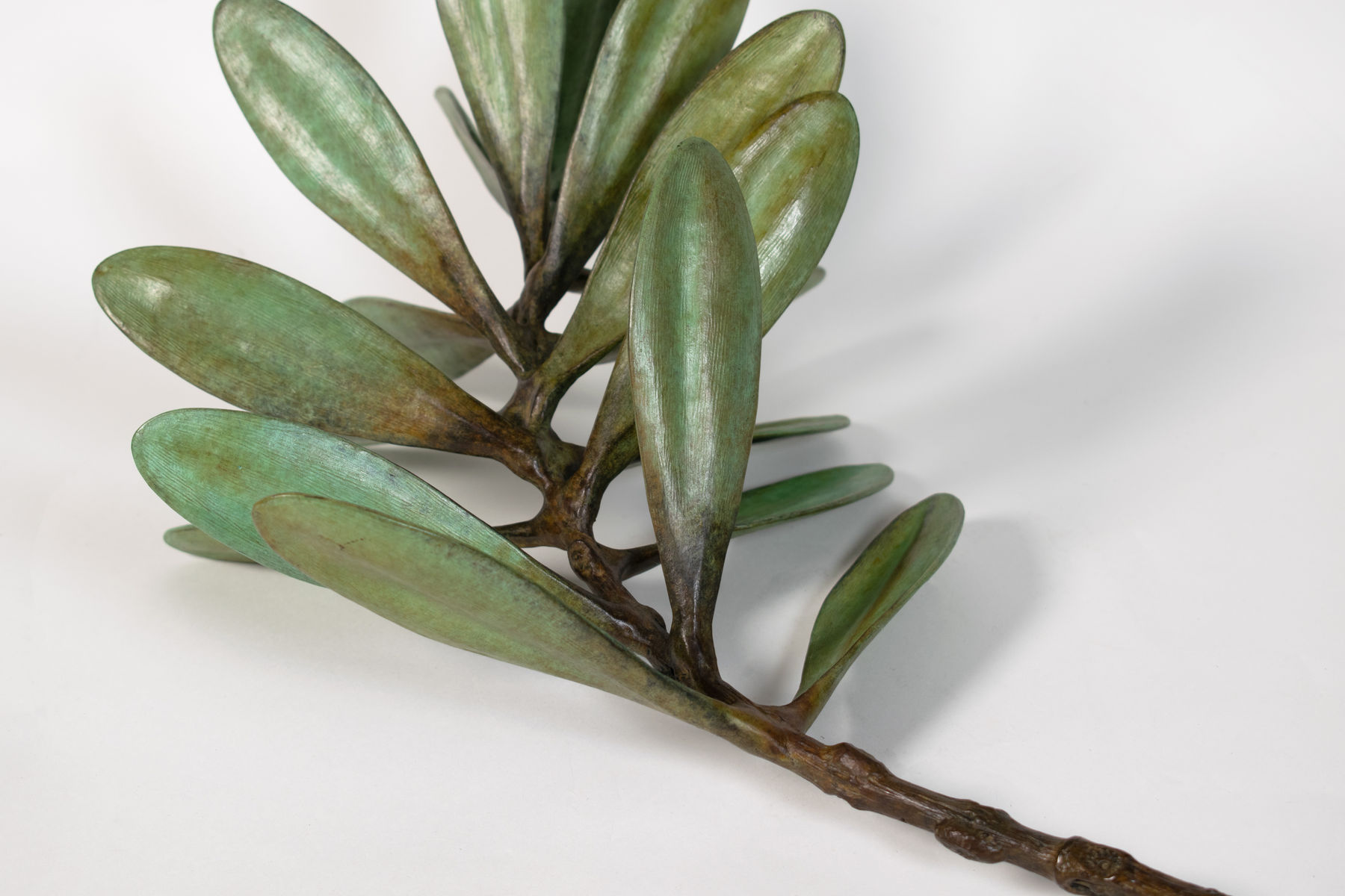 Jim Wheeler, Windfall Kauri, 2025