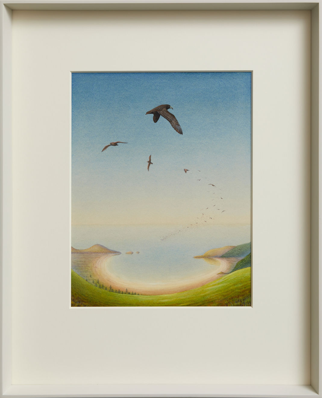 Hamish Foote, Black Petrel, 2019