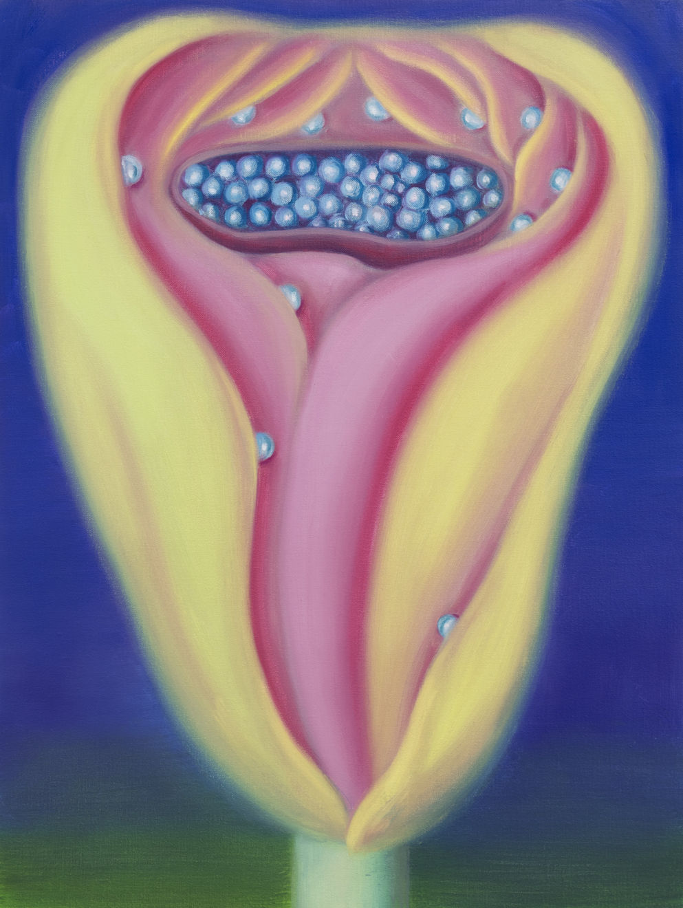 Sara Bonache, Secret Tulip, 2024