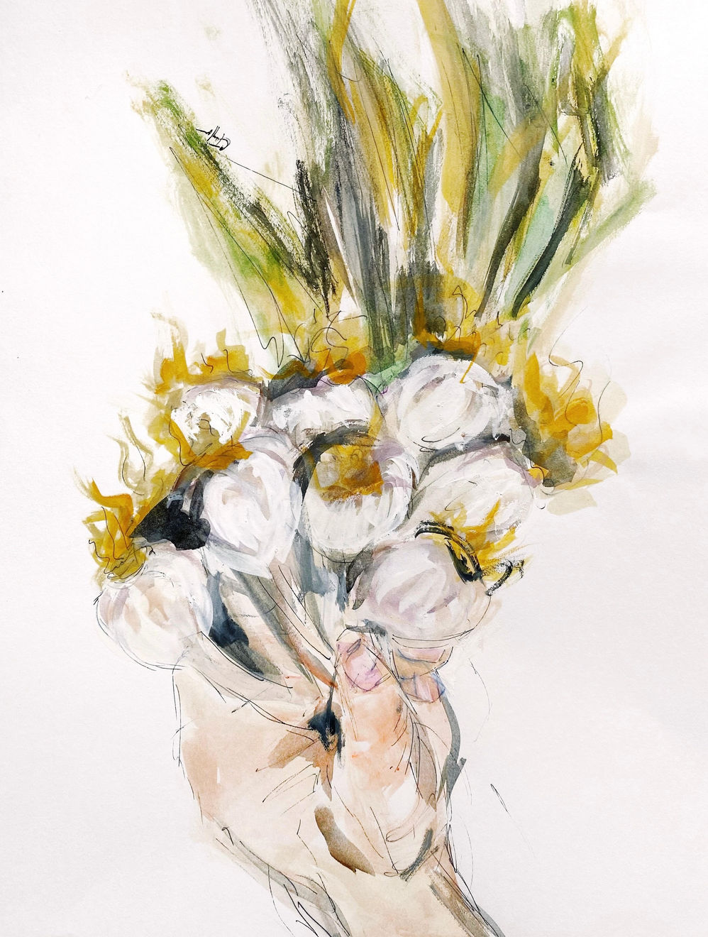 cindy taylor, spring garlic , 2018