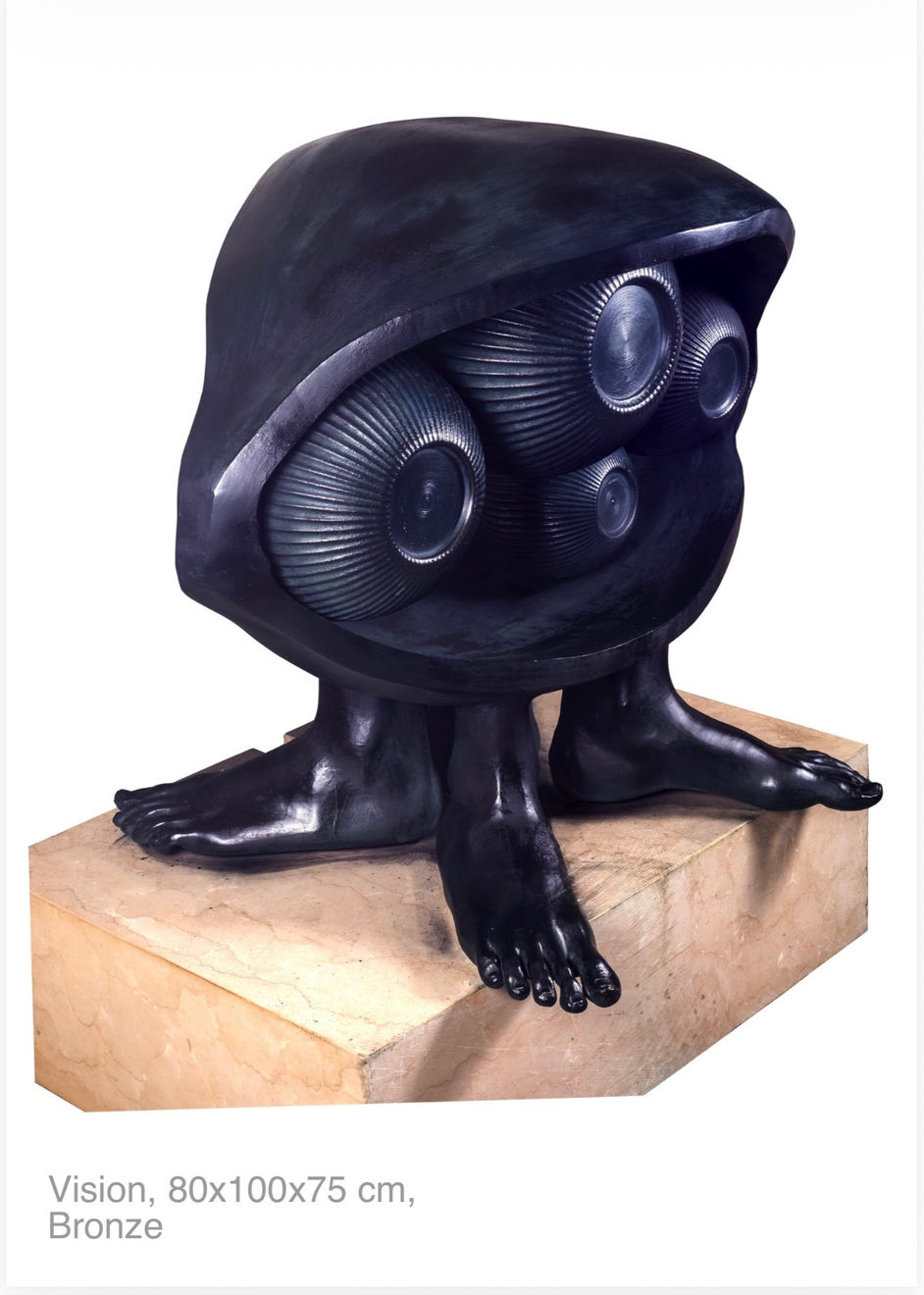 Asli Ozok, Vision, 2025