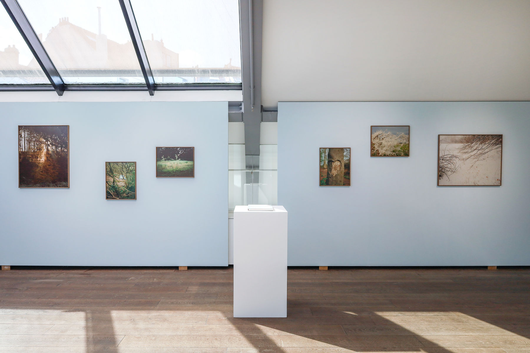 ©Zoé de Meulemeester