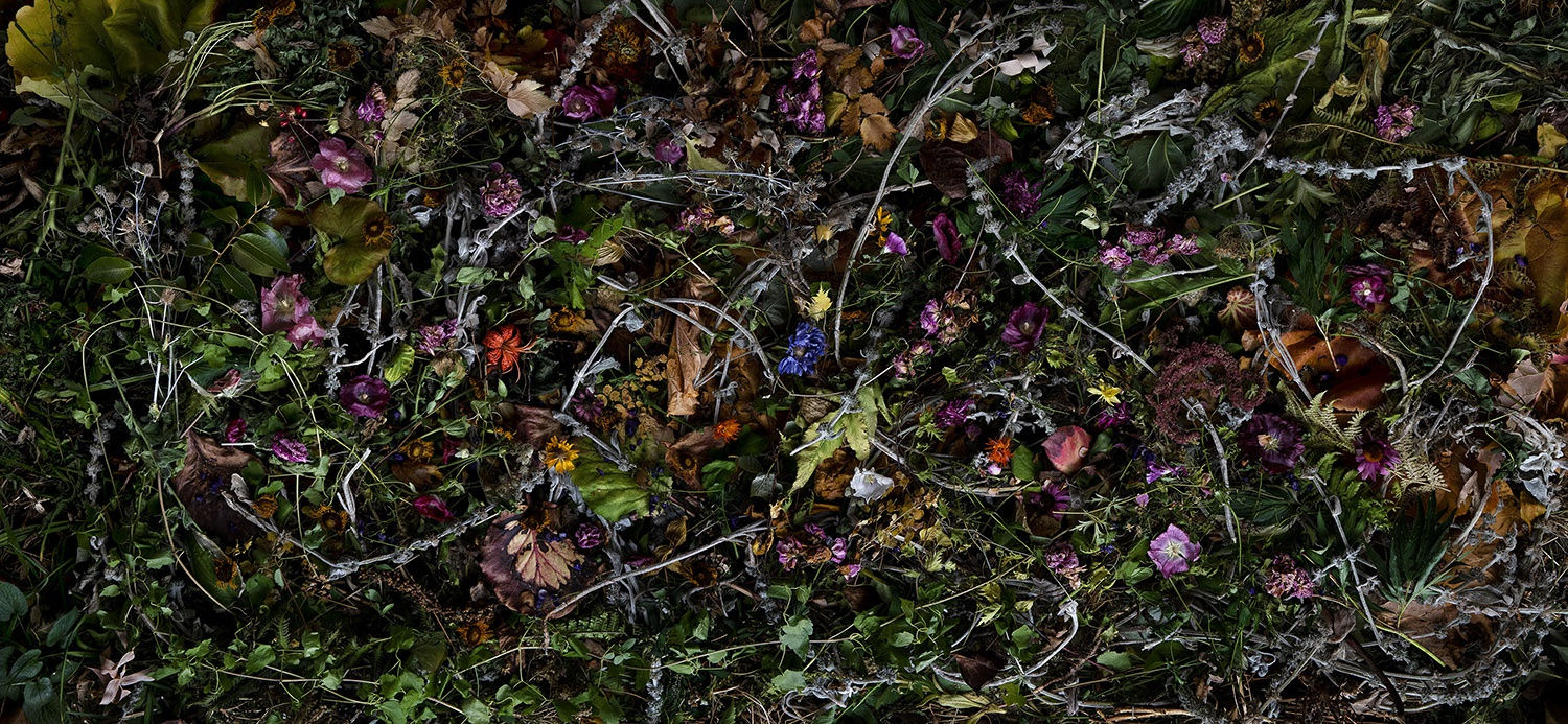 Rocio Graham, When I Think of Home #13, 2021