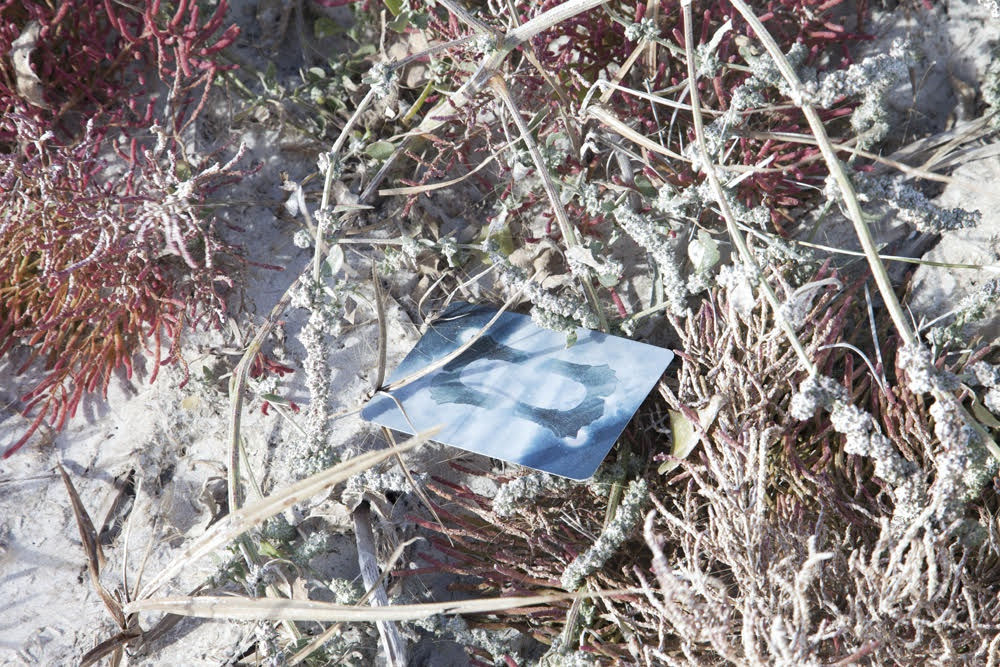 Bryce Krynski, oracle, 2022