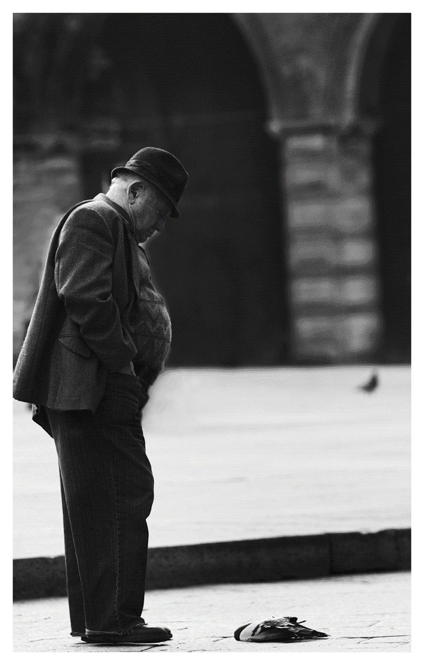 Black and white photograph of a man watching a dead dove in Bologna Italy.