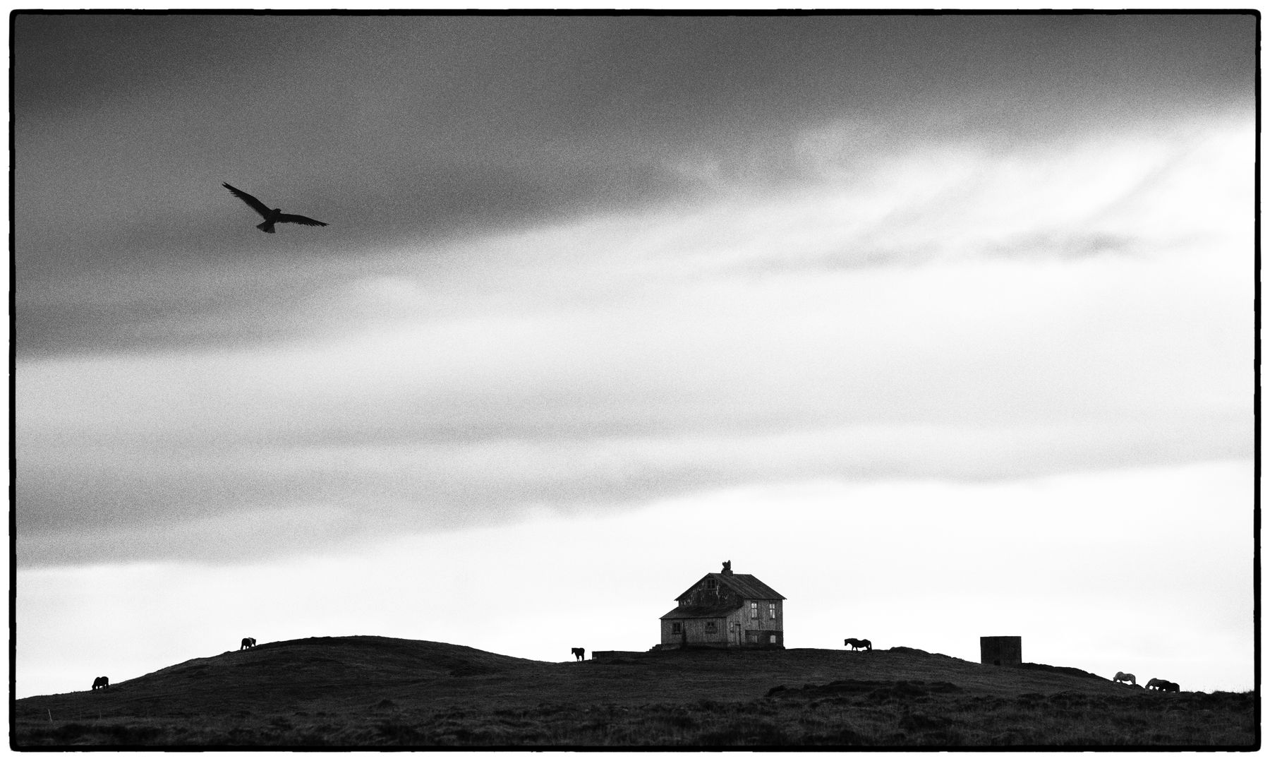 Karl R Lilliendahl, Silent Watchers | Iceland 2025