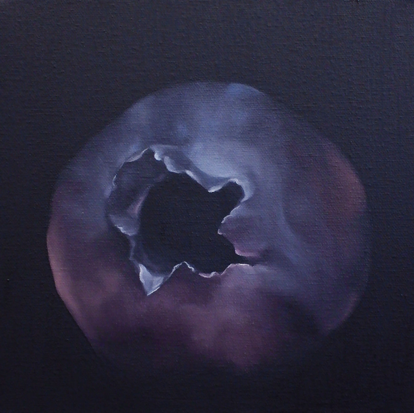 Fidji Lapios, Sweet Darkness, 2024