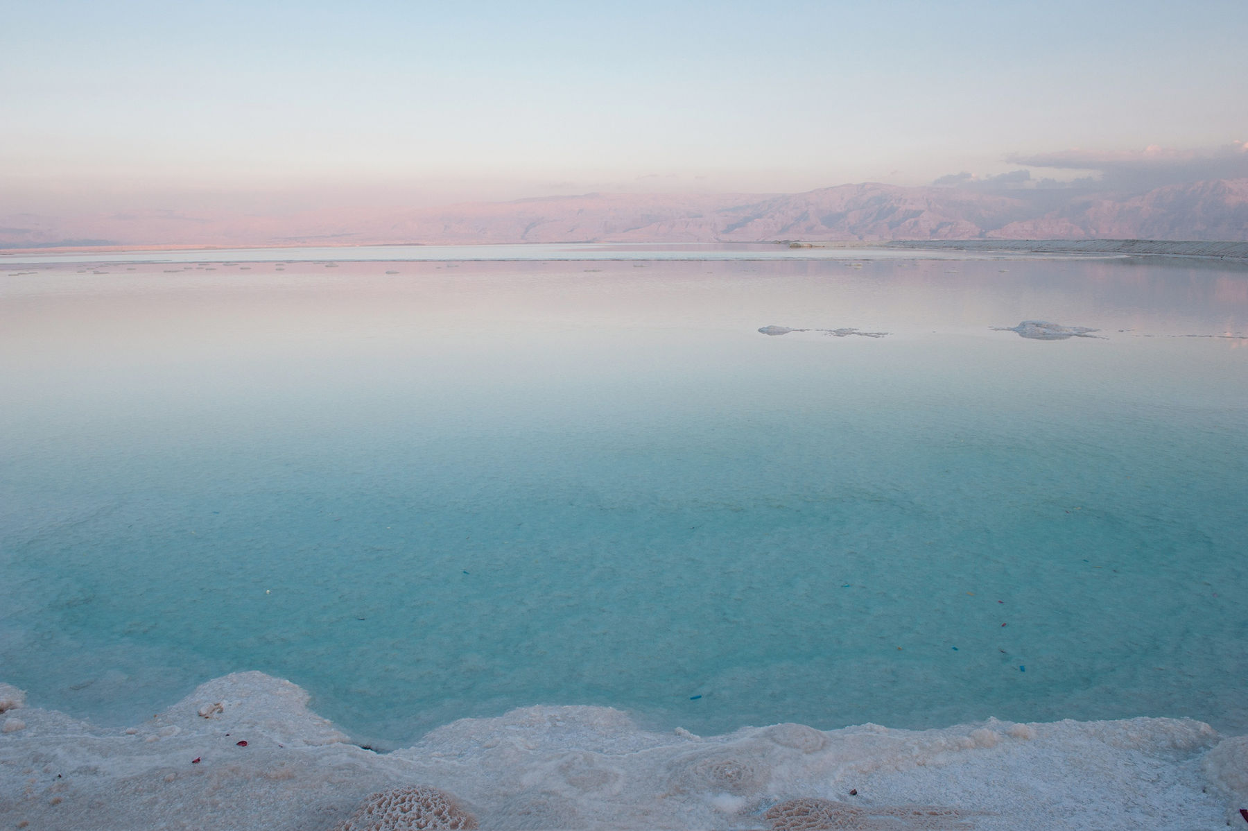 Evgeniya Strygina, Living Nature - 22, 2015