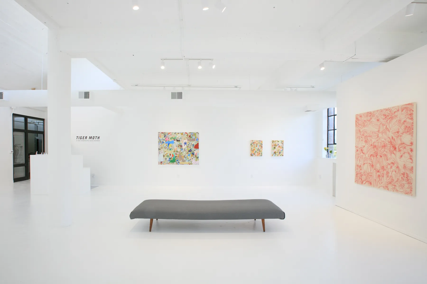 Sarah Giannobile, "Tiger Moth", installation view