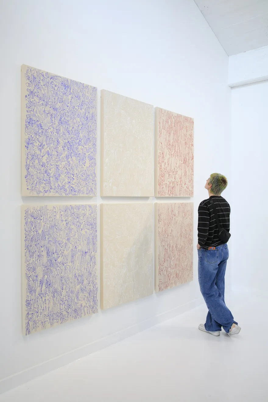 Sarah Giannobile, "Tiger Moth", installation view