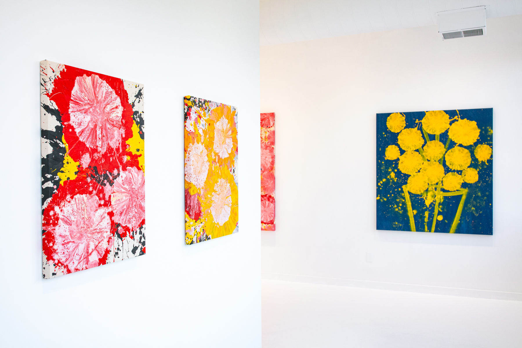 Jorge Luis Santos, "Dilatation", installation view