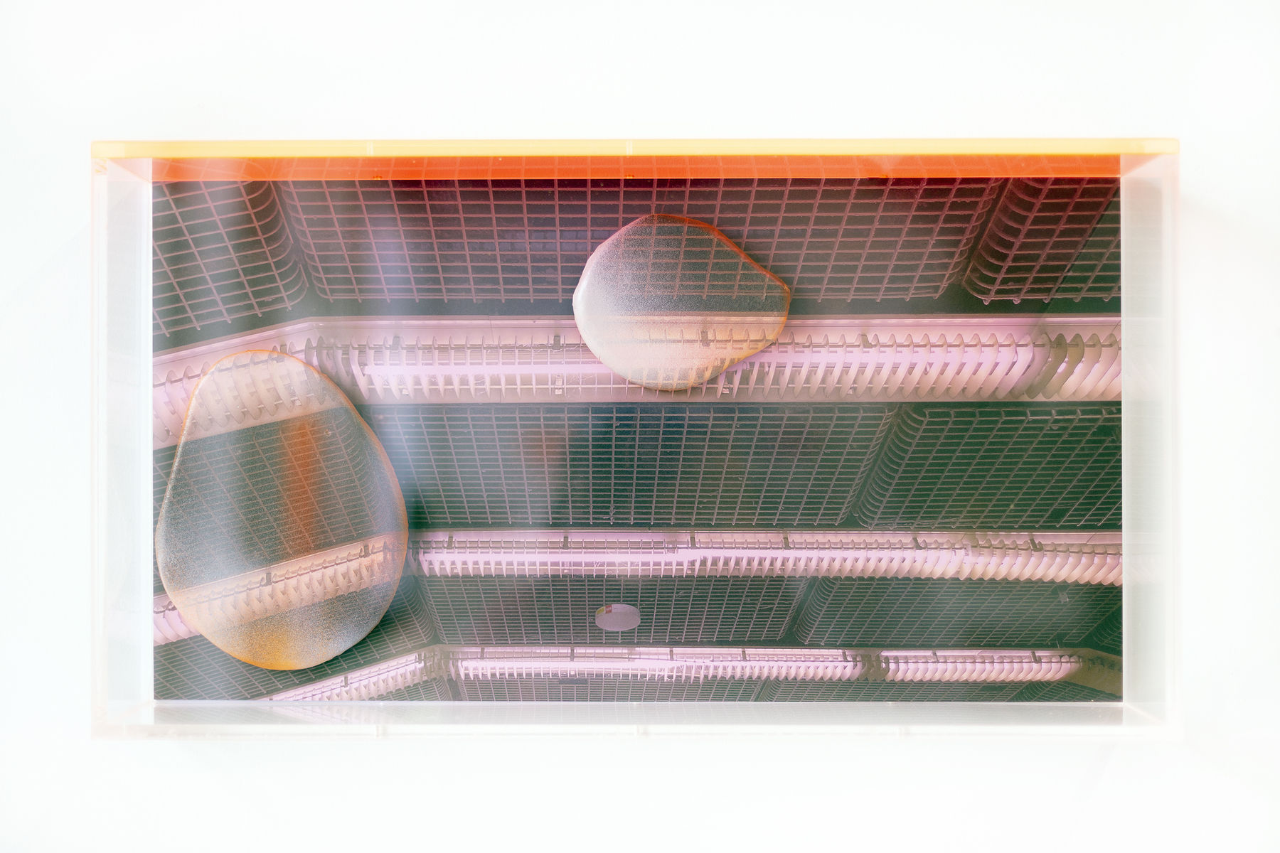 Repro Osofc No26 Final Usm 2025 05